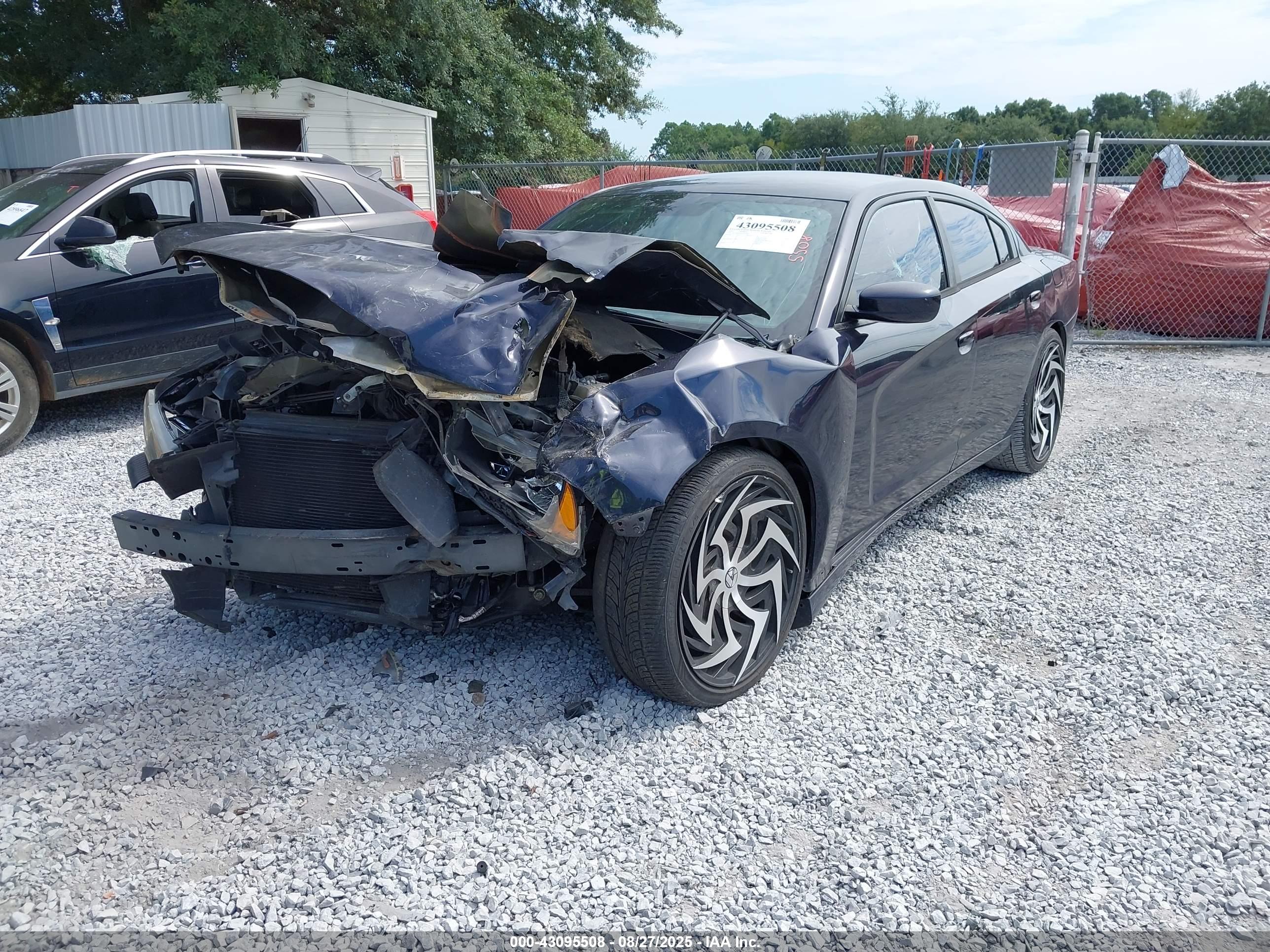 DODGE CHARGER image 2