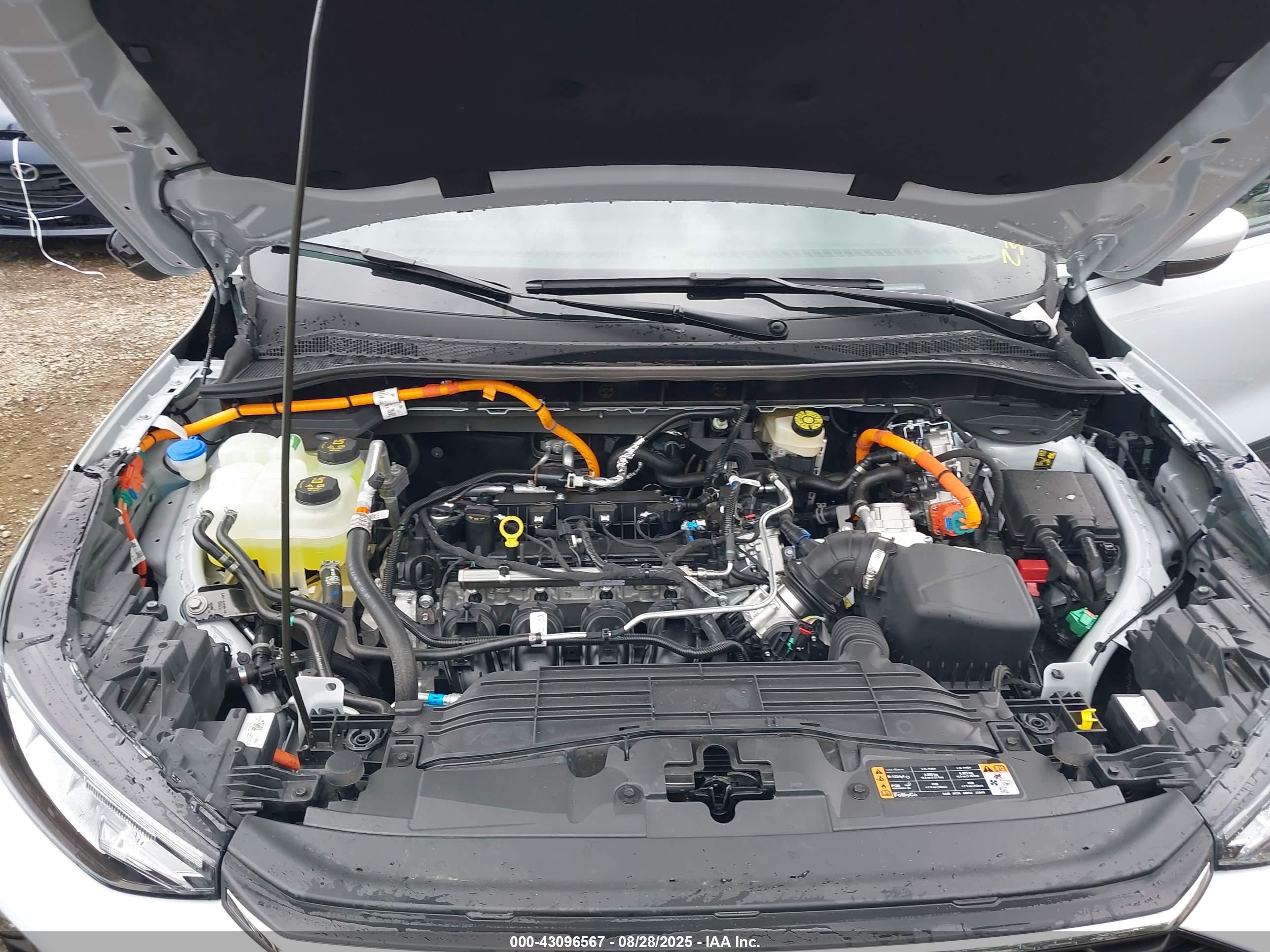 FORD ESCAPE image 10