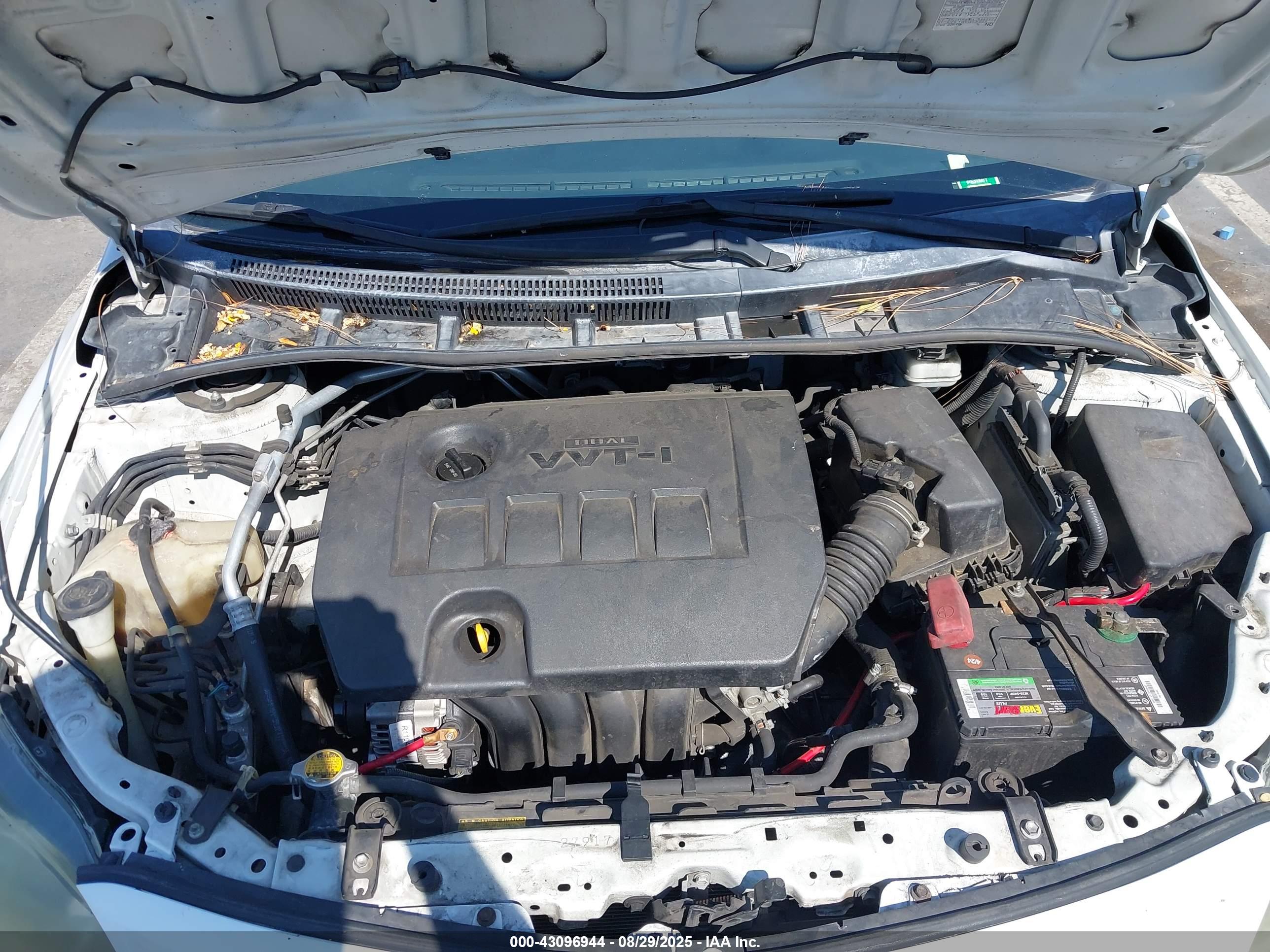 TOYOTA COROLLA image 10