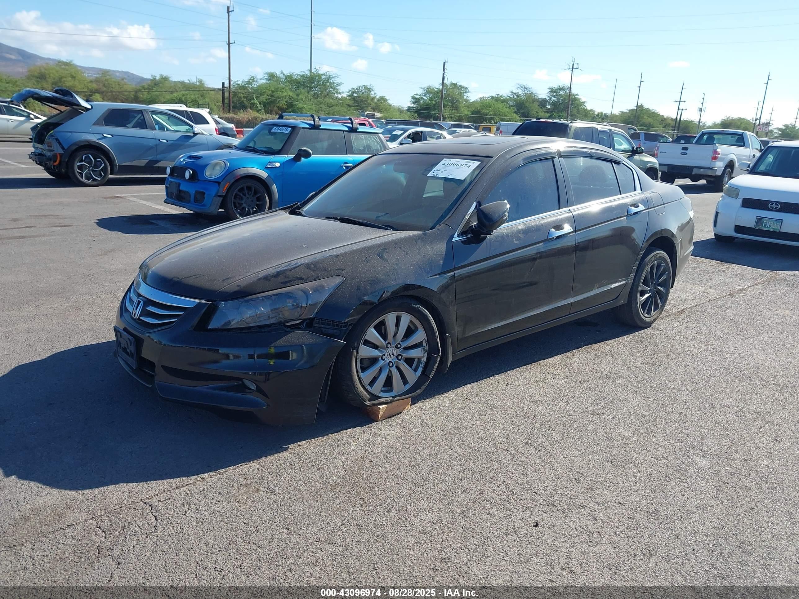 HONDA ACCORD image 2
