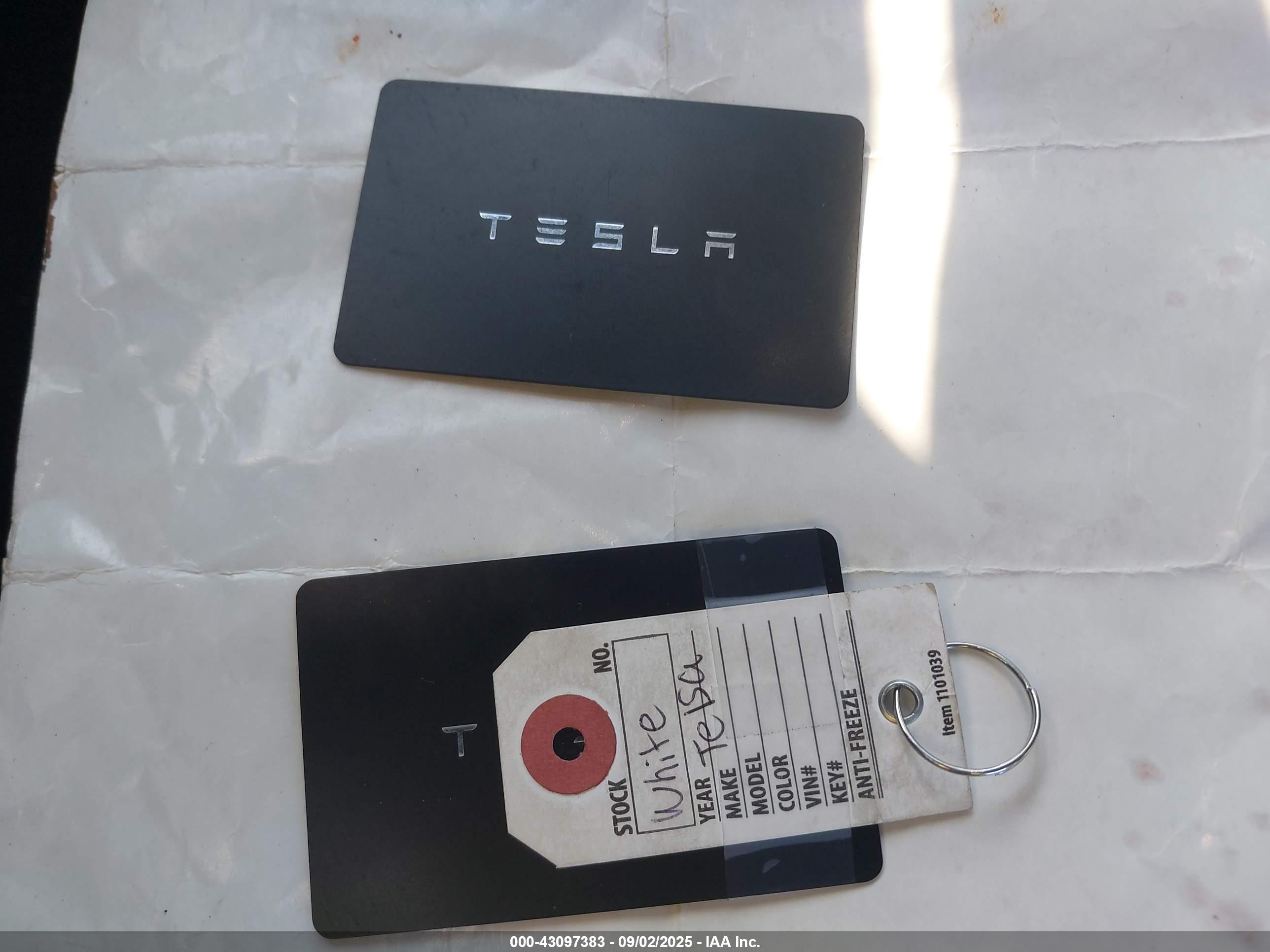 TESLA MODEL image 11