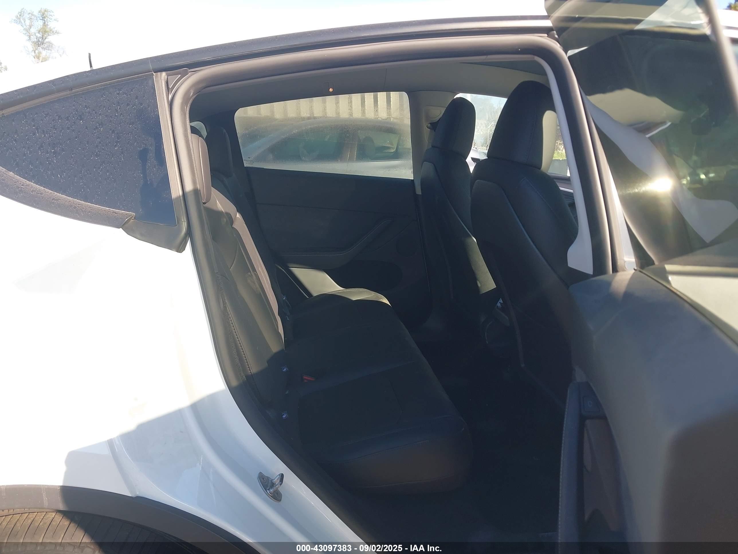 TESLA MODEL image 8