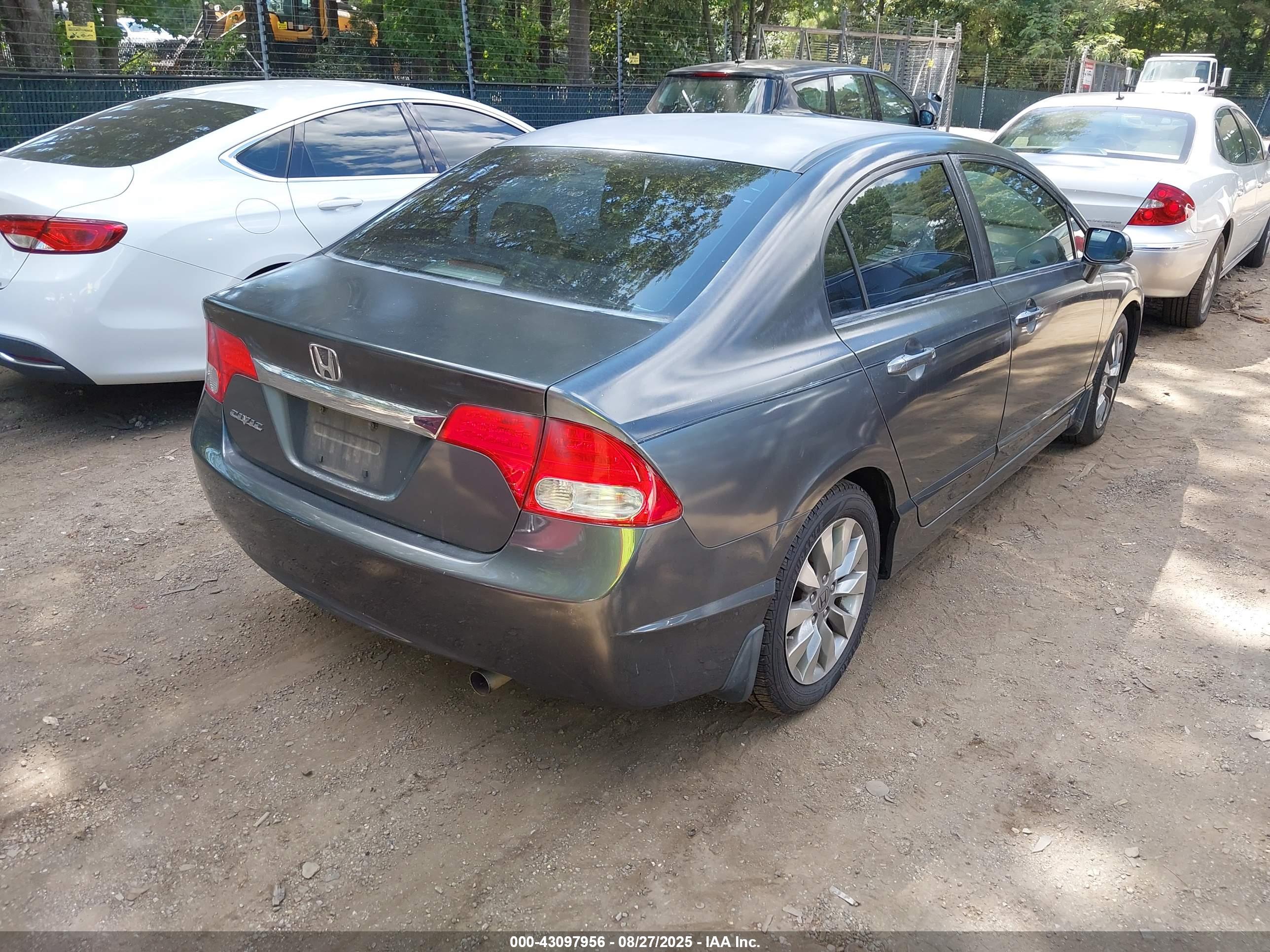 HONDA CIVIC image 4