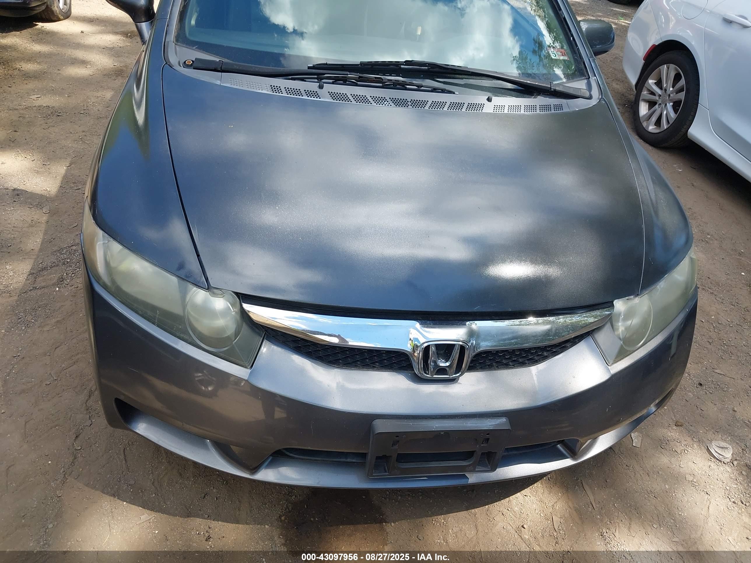 HONDA CIVIC image 6