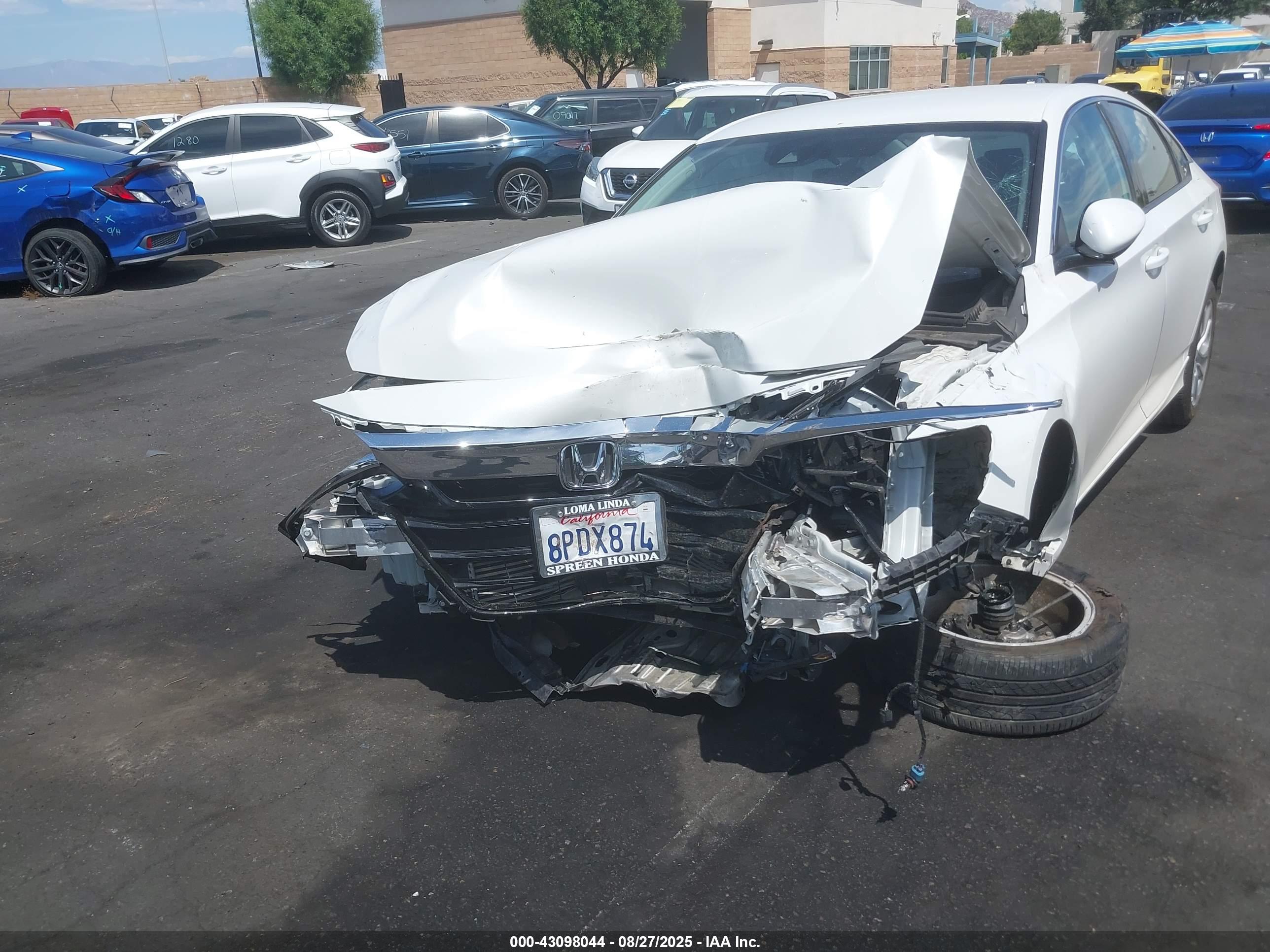 HONDA ACCORD image 6