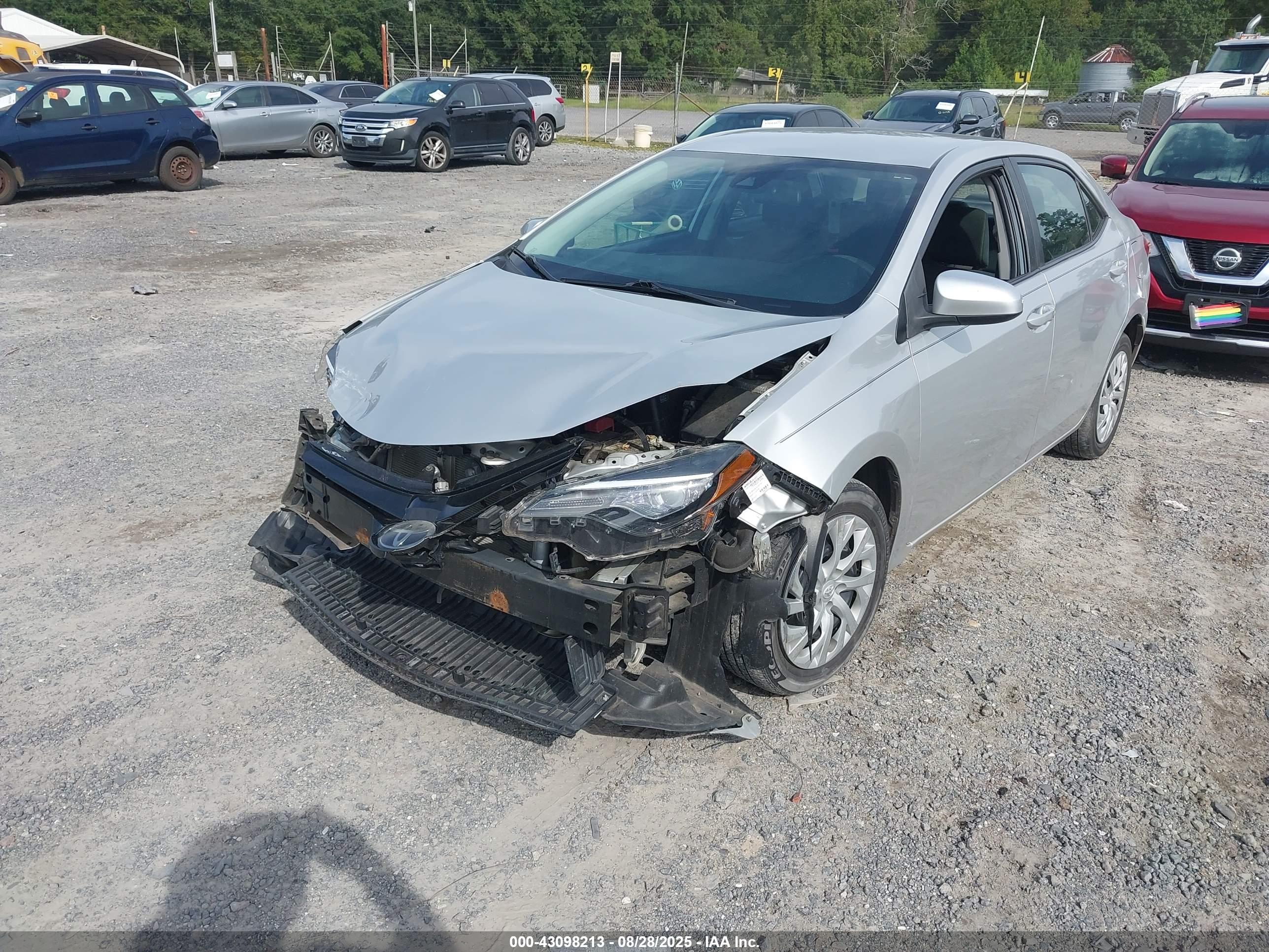 TOYOTA COROLLA image 2