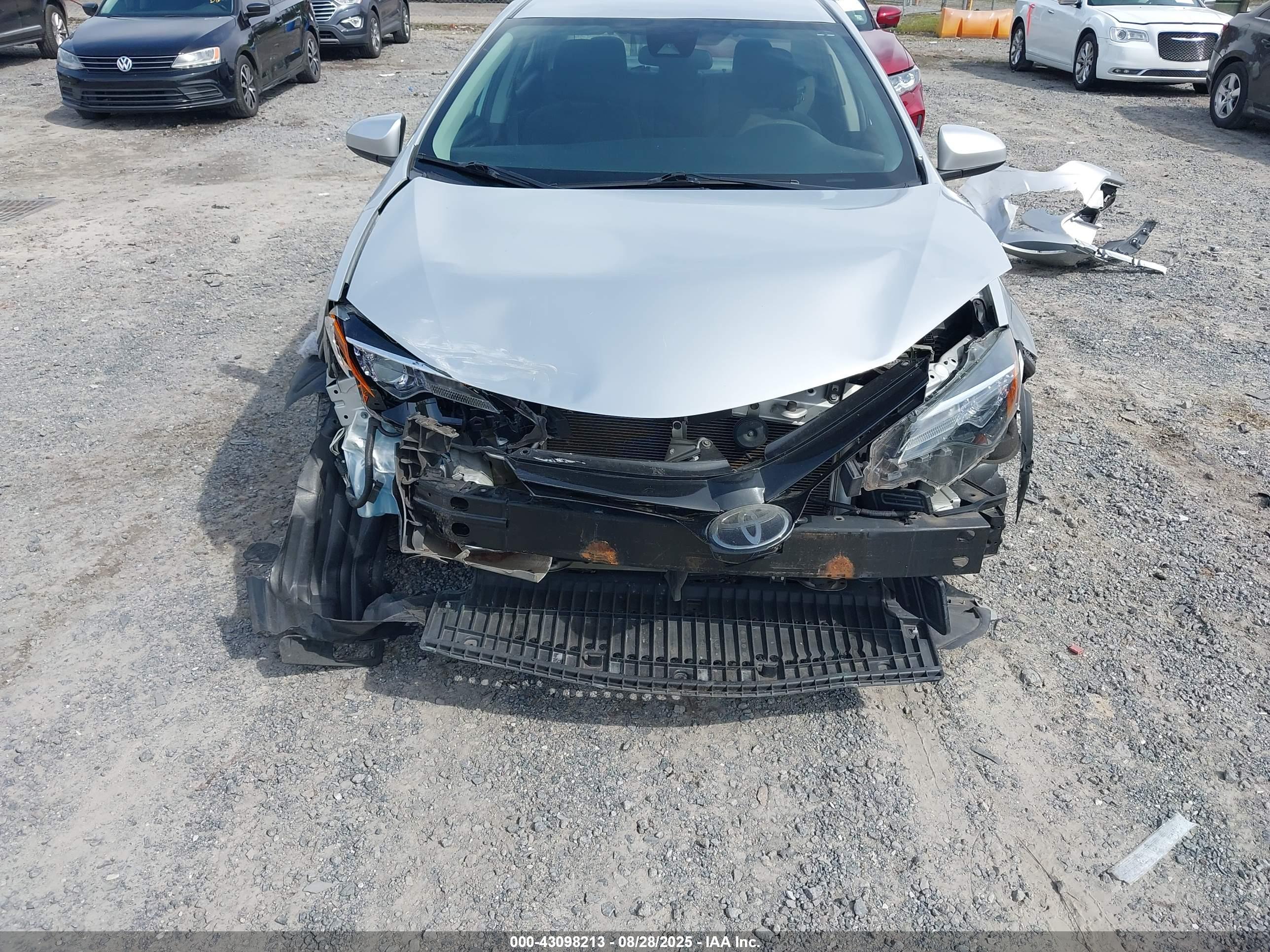 TOYOTA COROLLA image 6