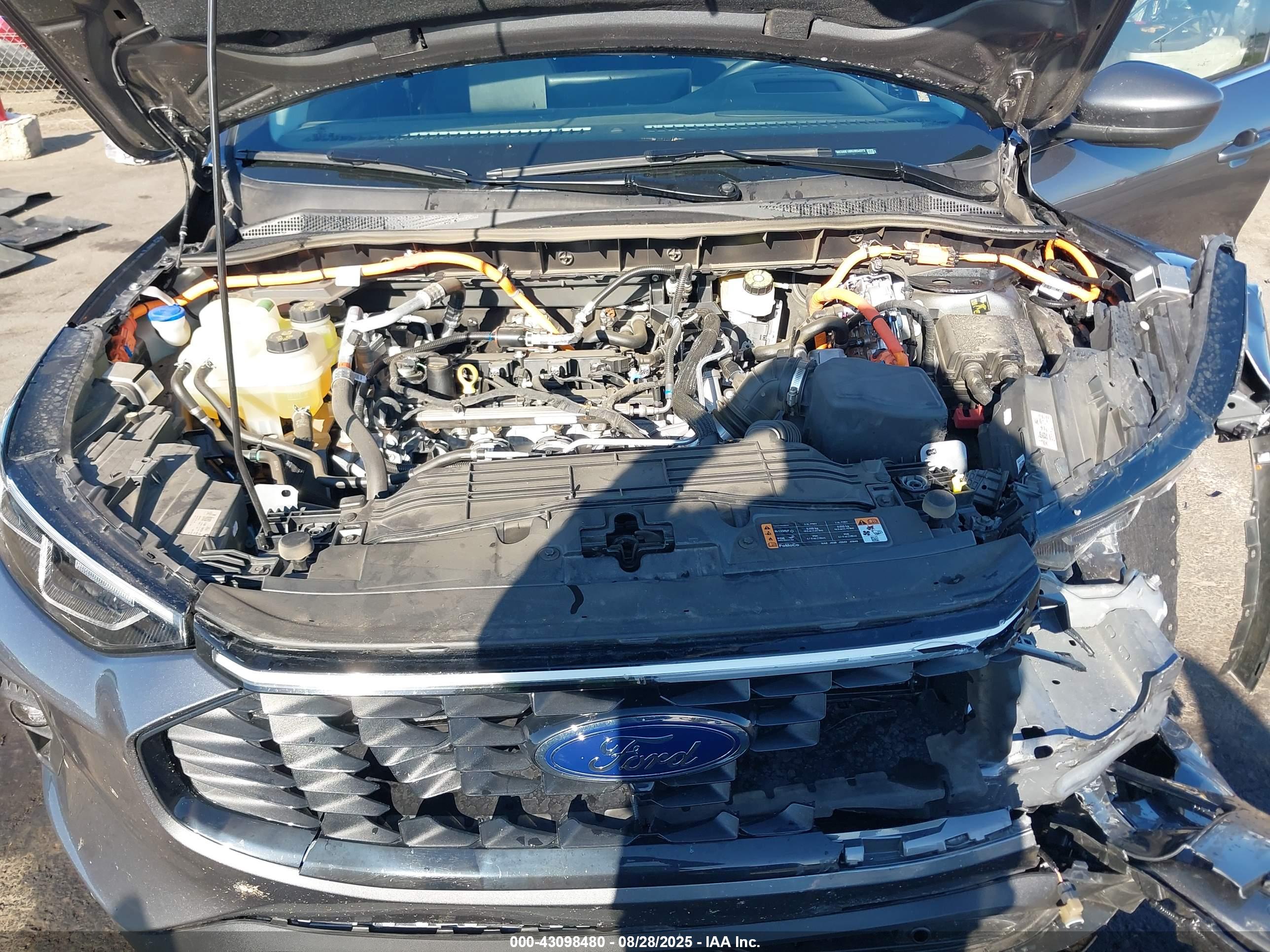 FORD ESCAPE image 10