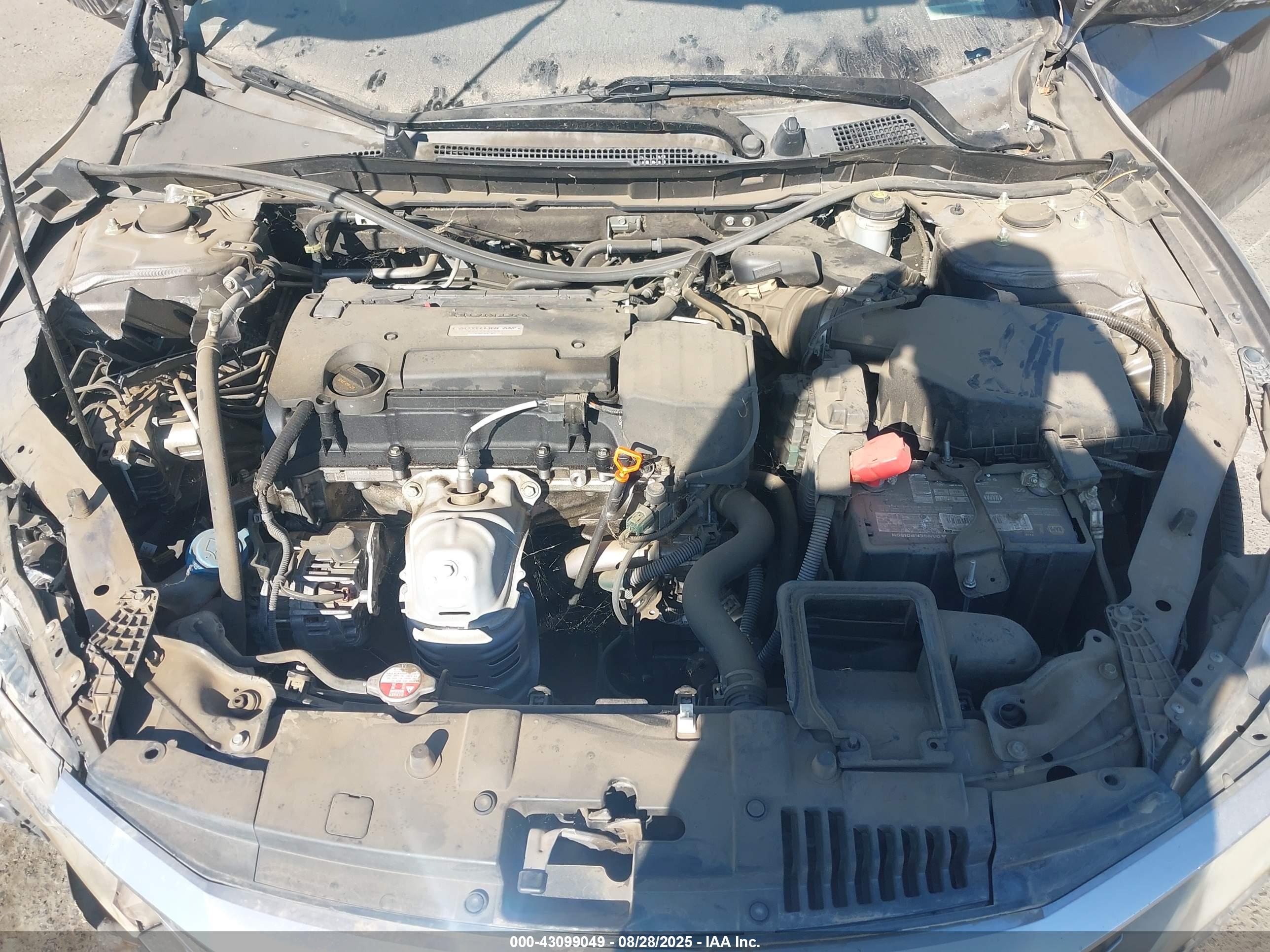 HONDA ACCORD image 10