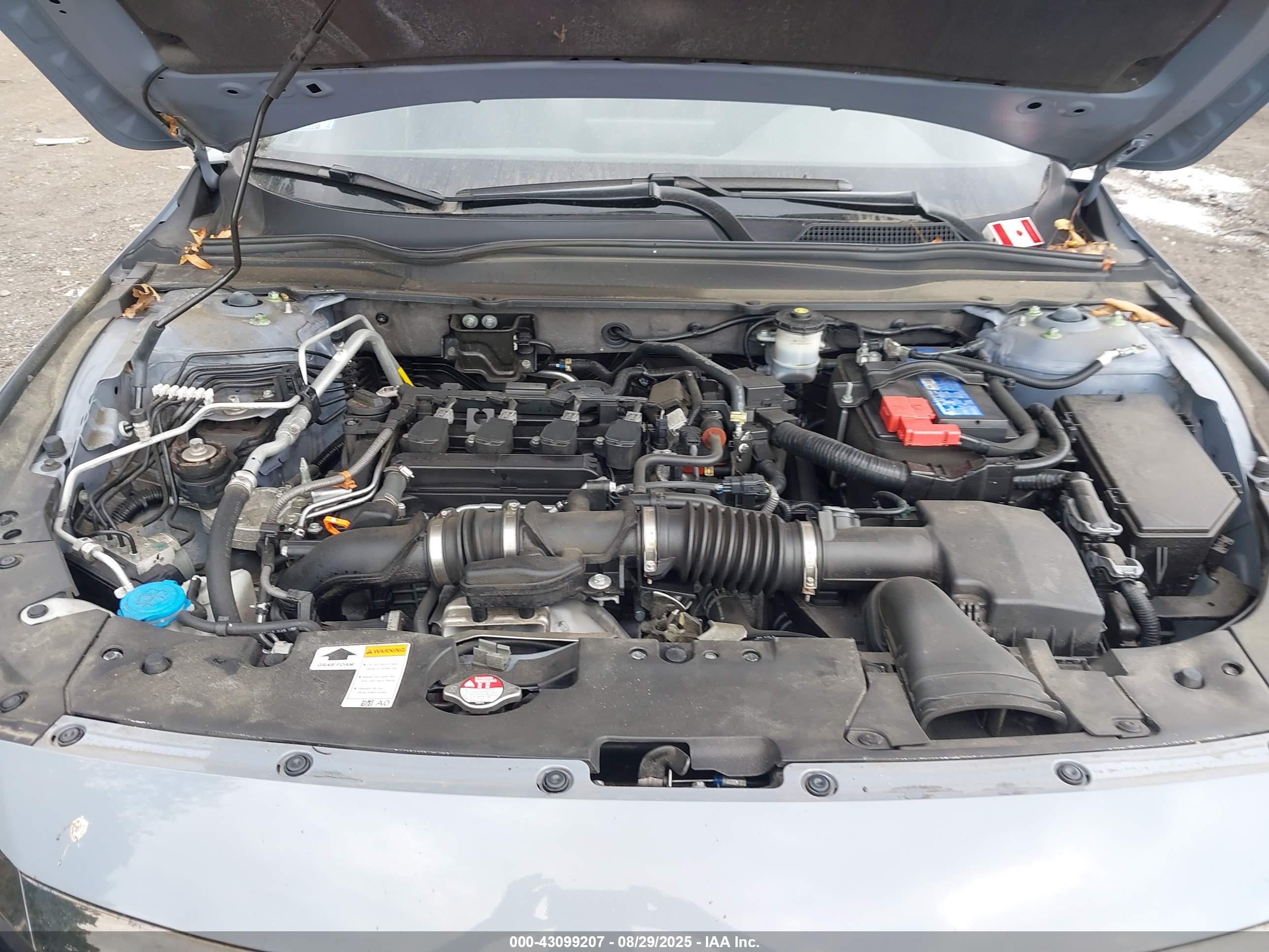 HONDA ACCORD image 10