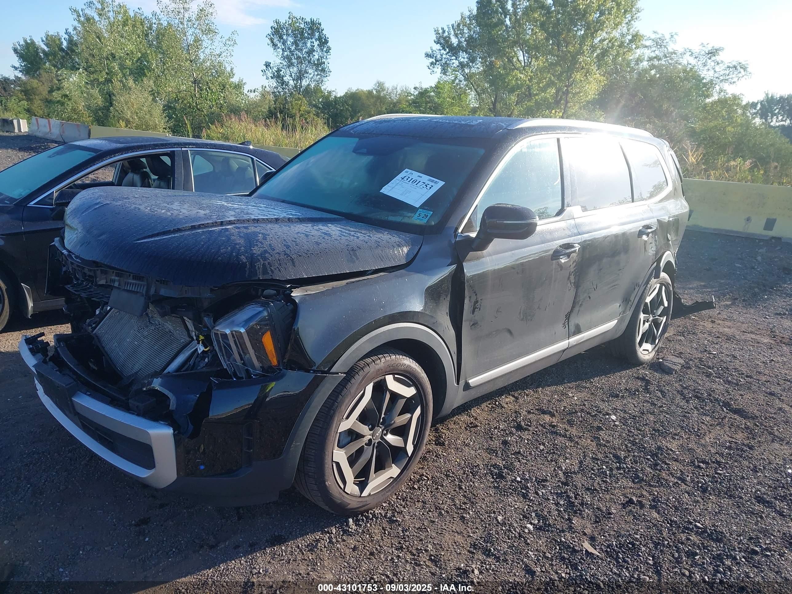 KIA TELLURIDE image 2