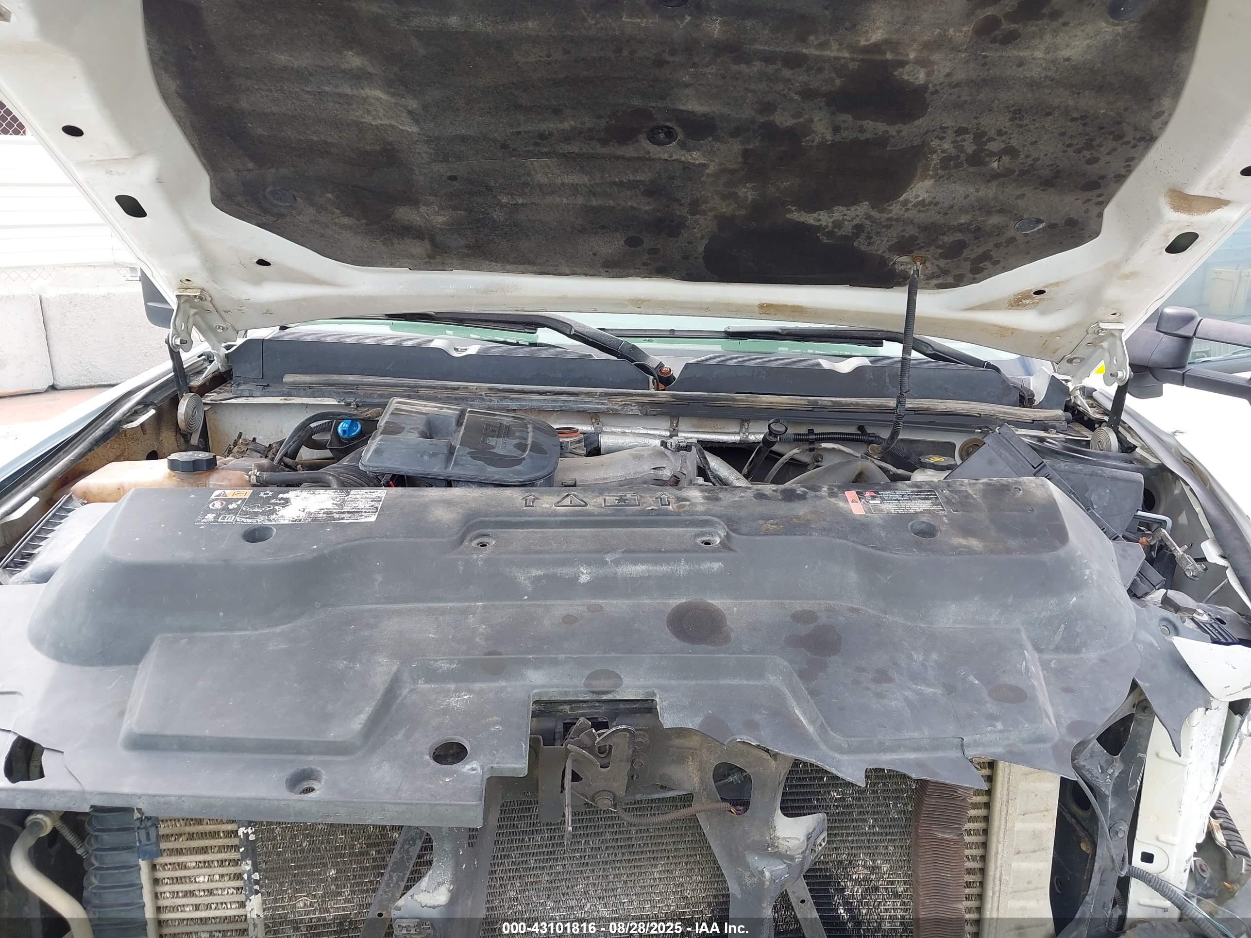 CHEVROLET SILVERADO image 10