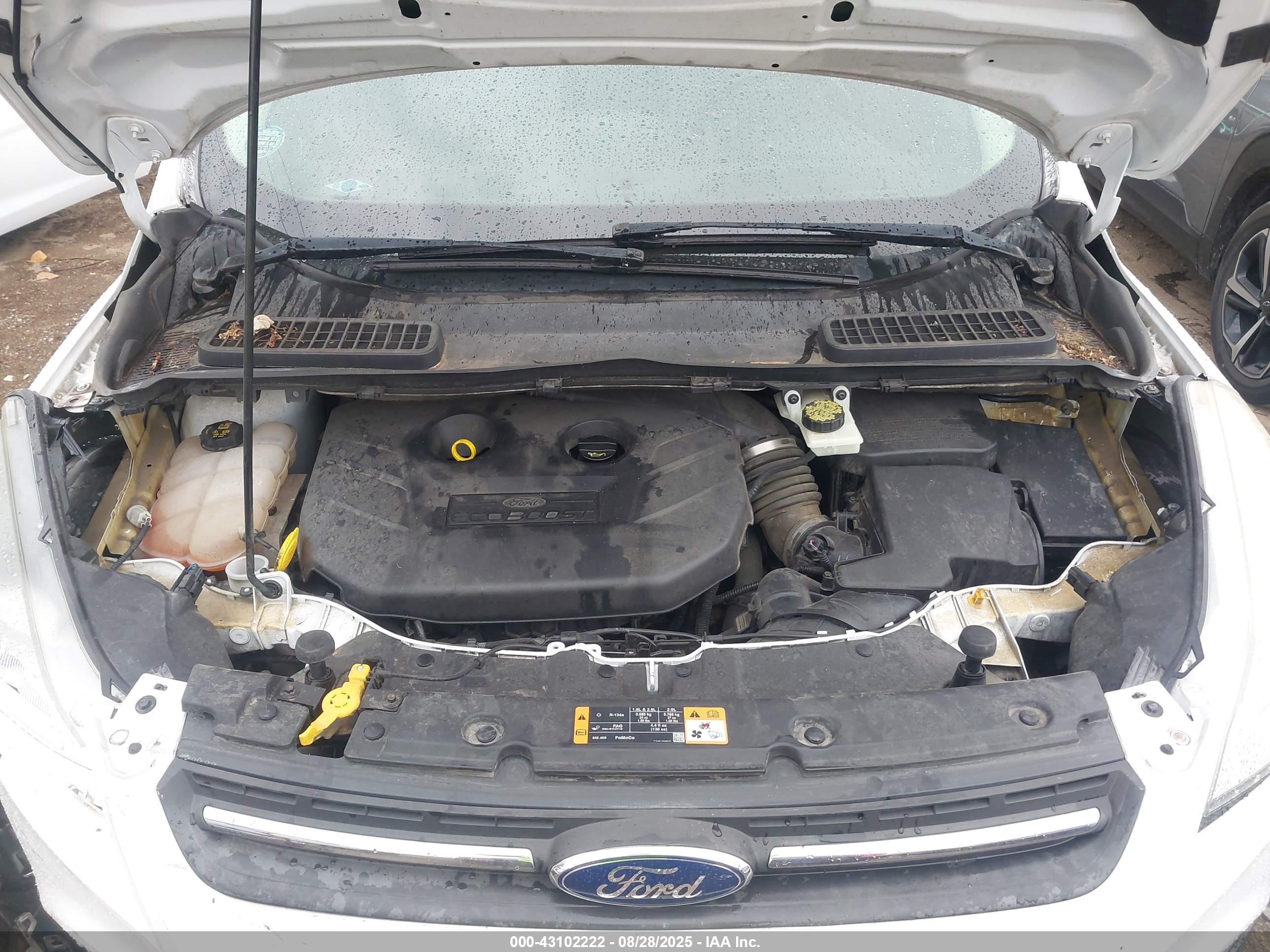 FORD ESCAPE image 10