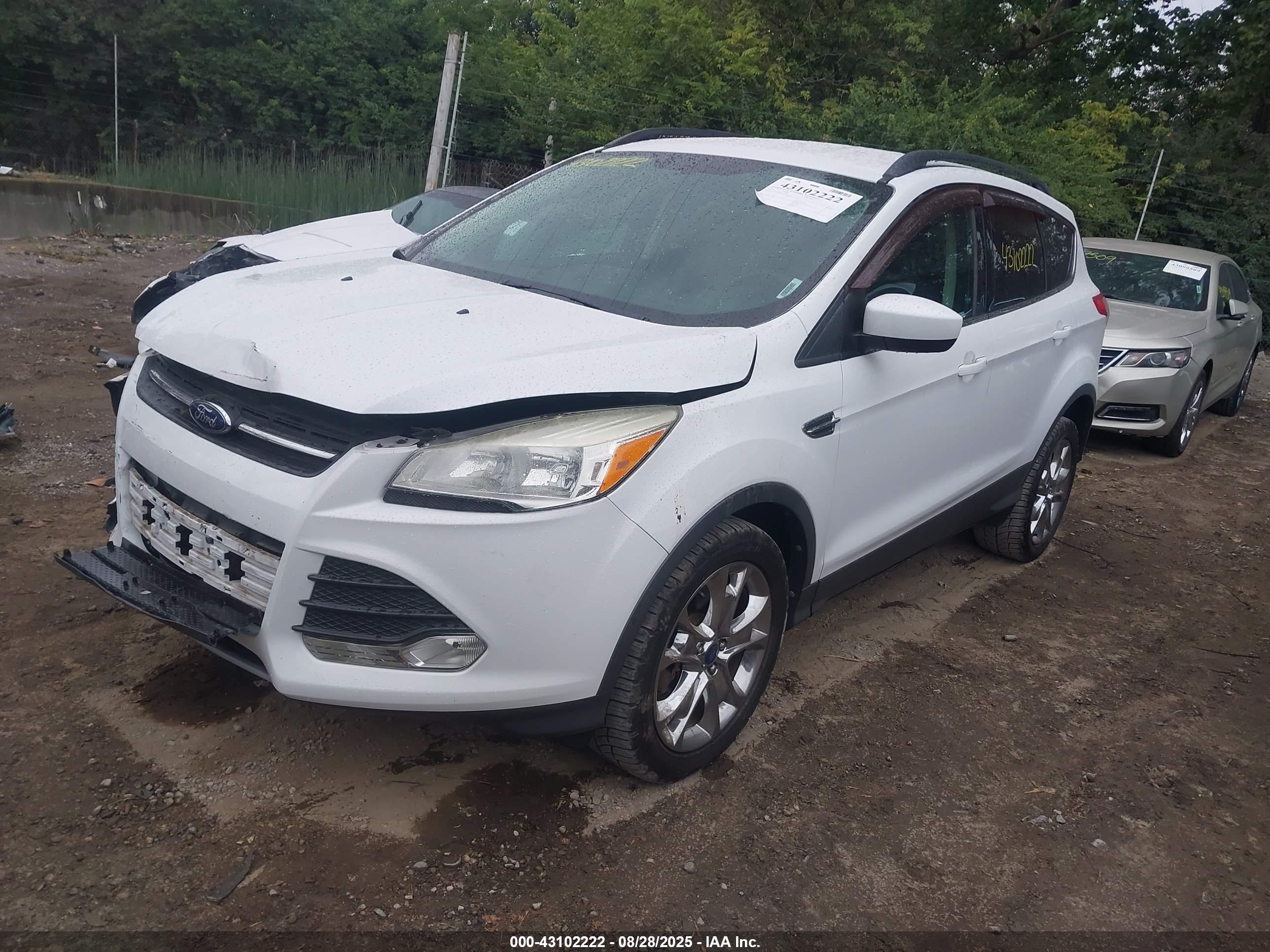 FORD ESCAPE image 2