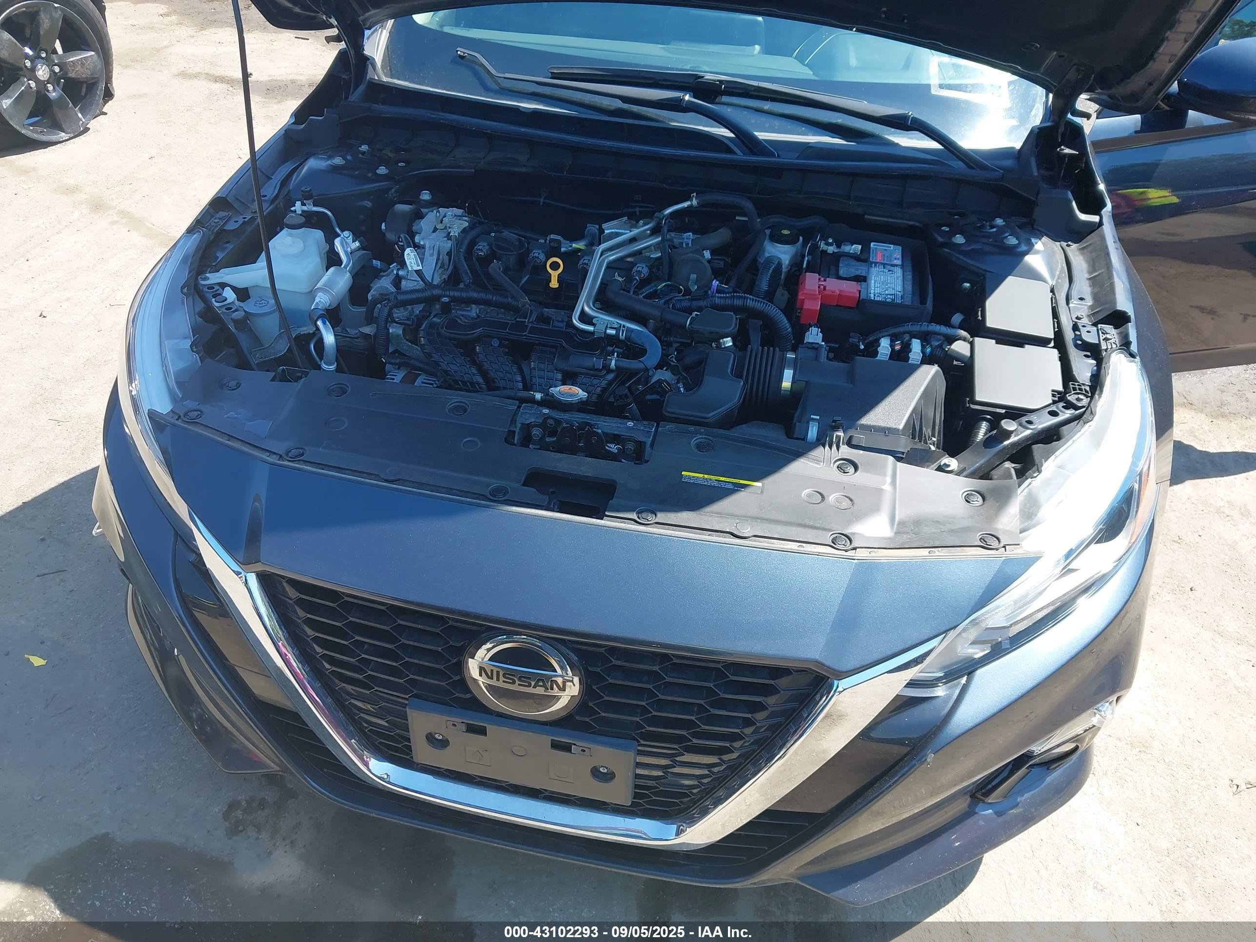 NISSAN ALTIMA image 10
