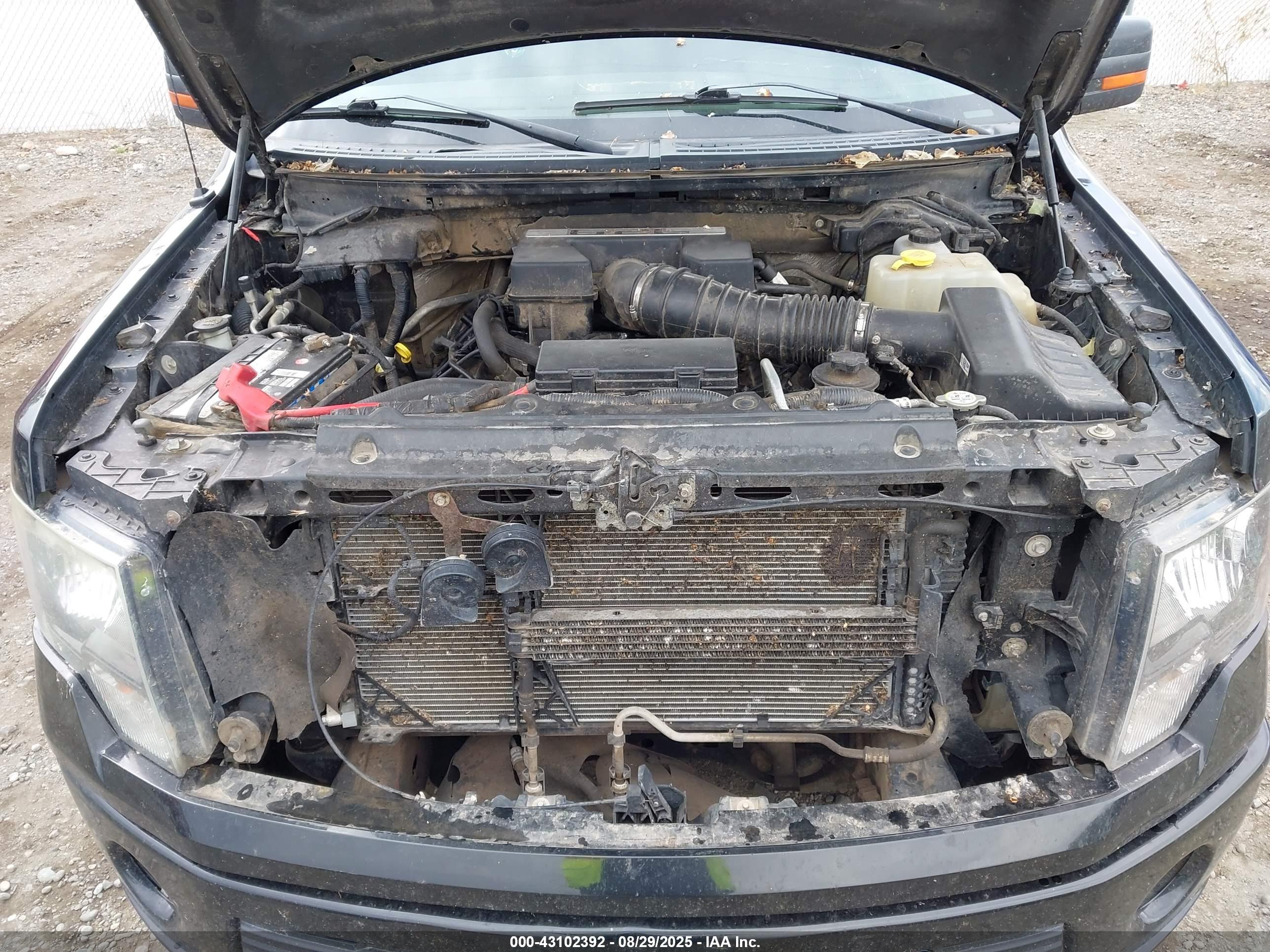 FORD F-150 image 10