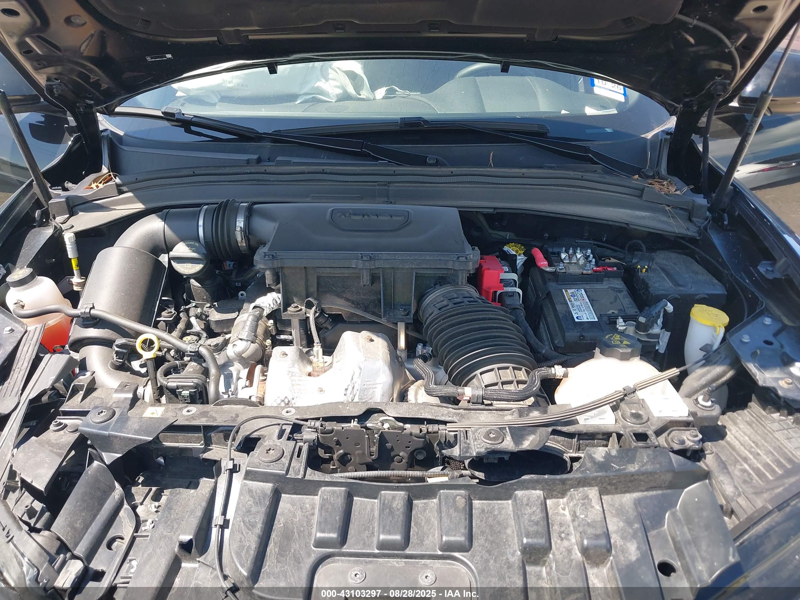 DODGE HORNET image 10