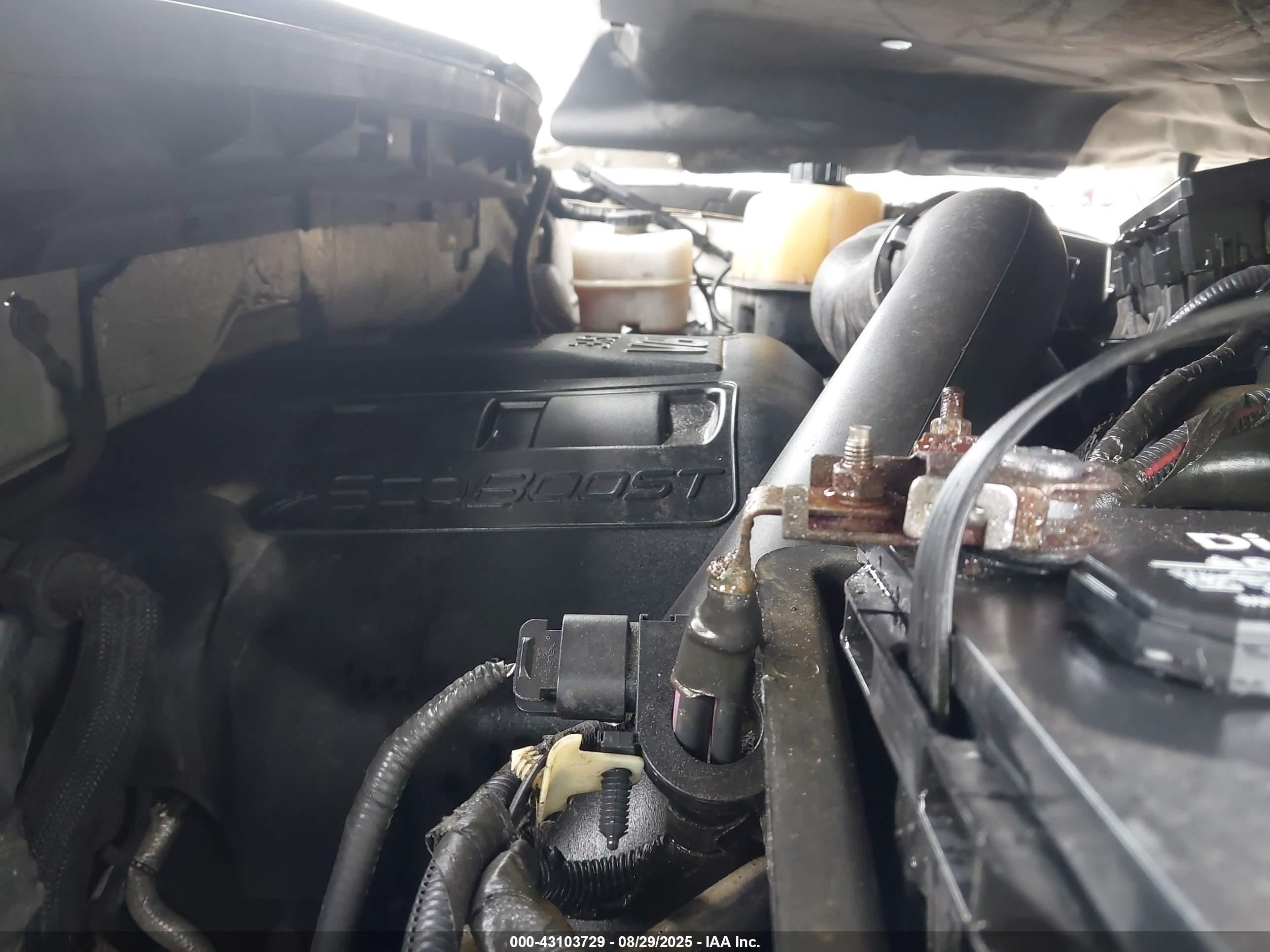 FORD F-150 image 10