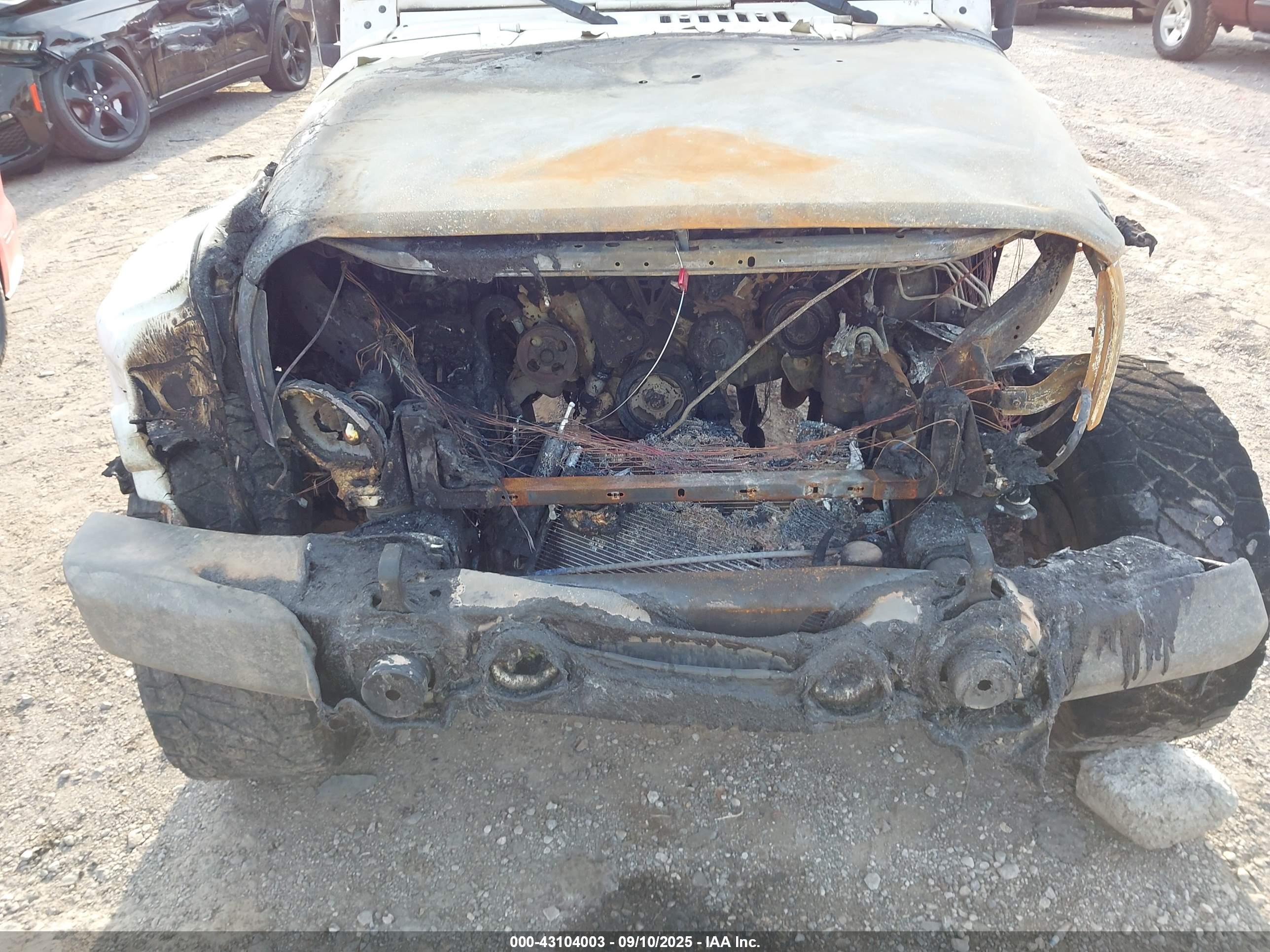 JEEP WRANGLER image 6