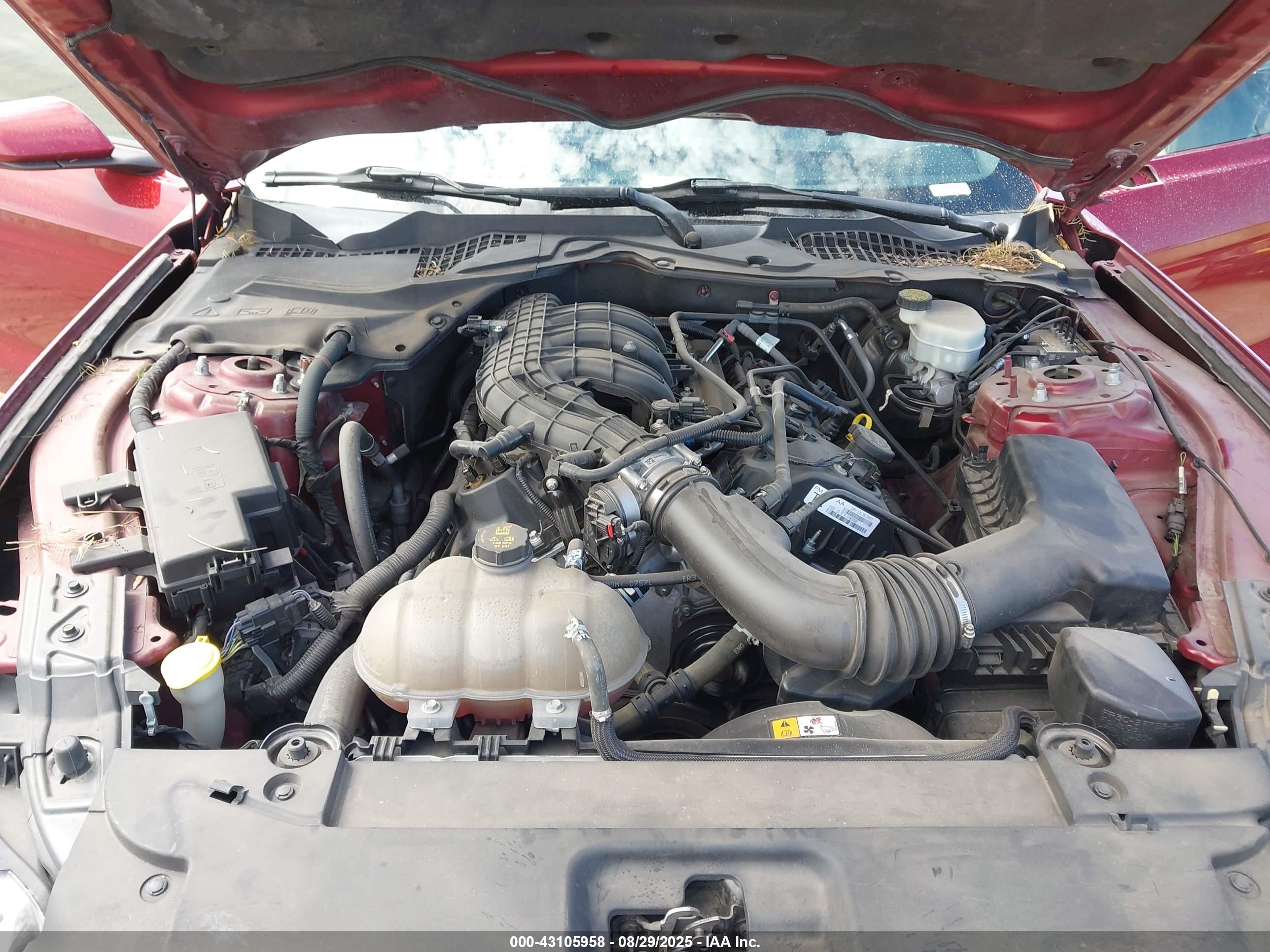 FORD MUSTANG image 10