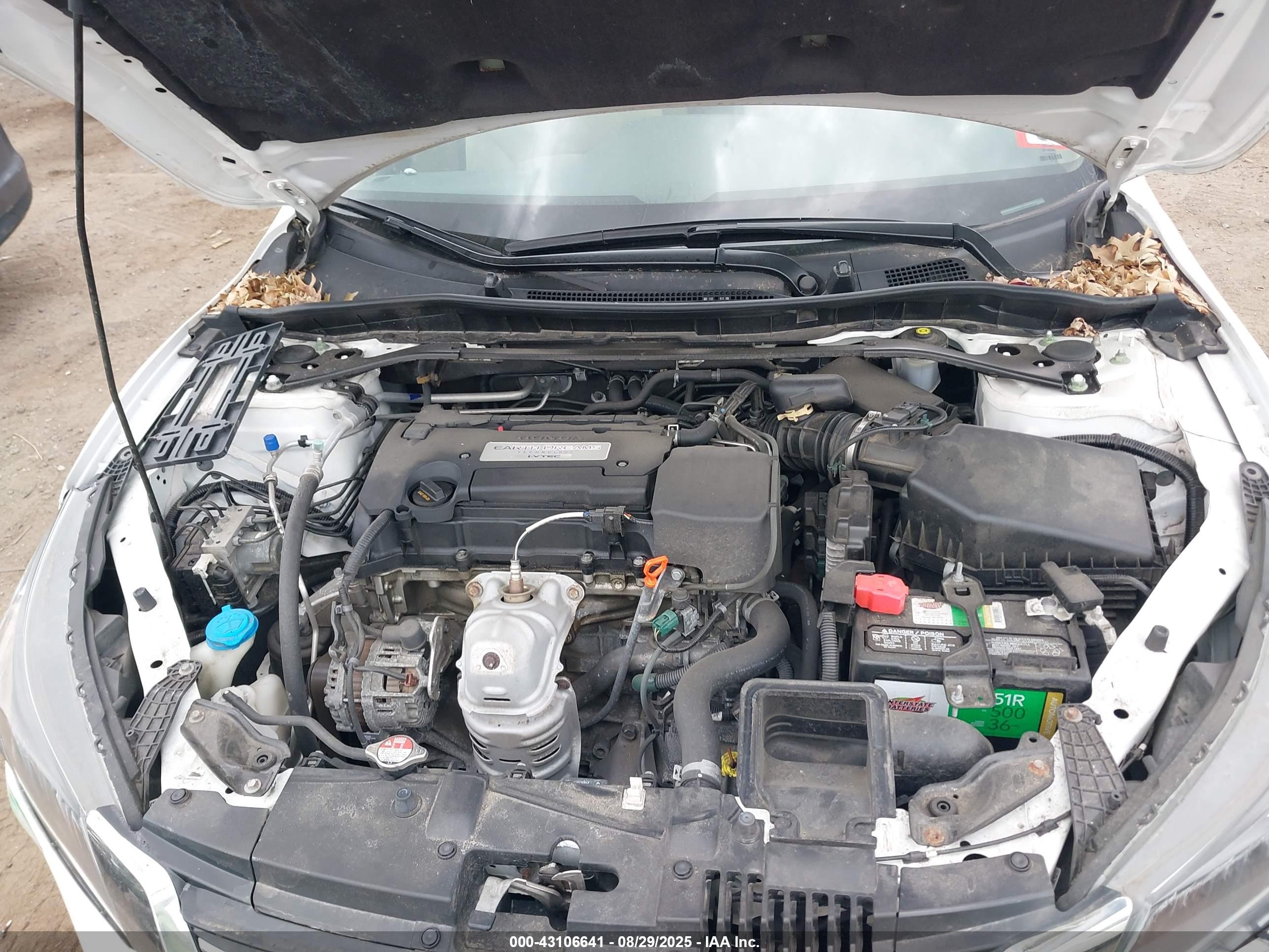 HONDA ACCORD image 10