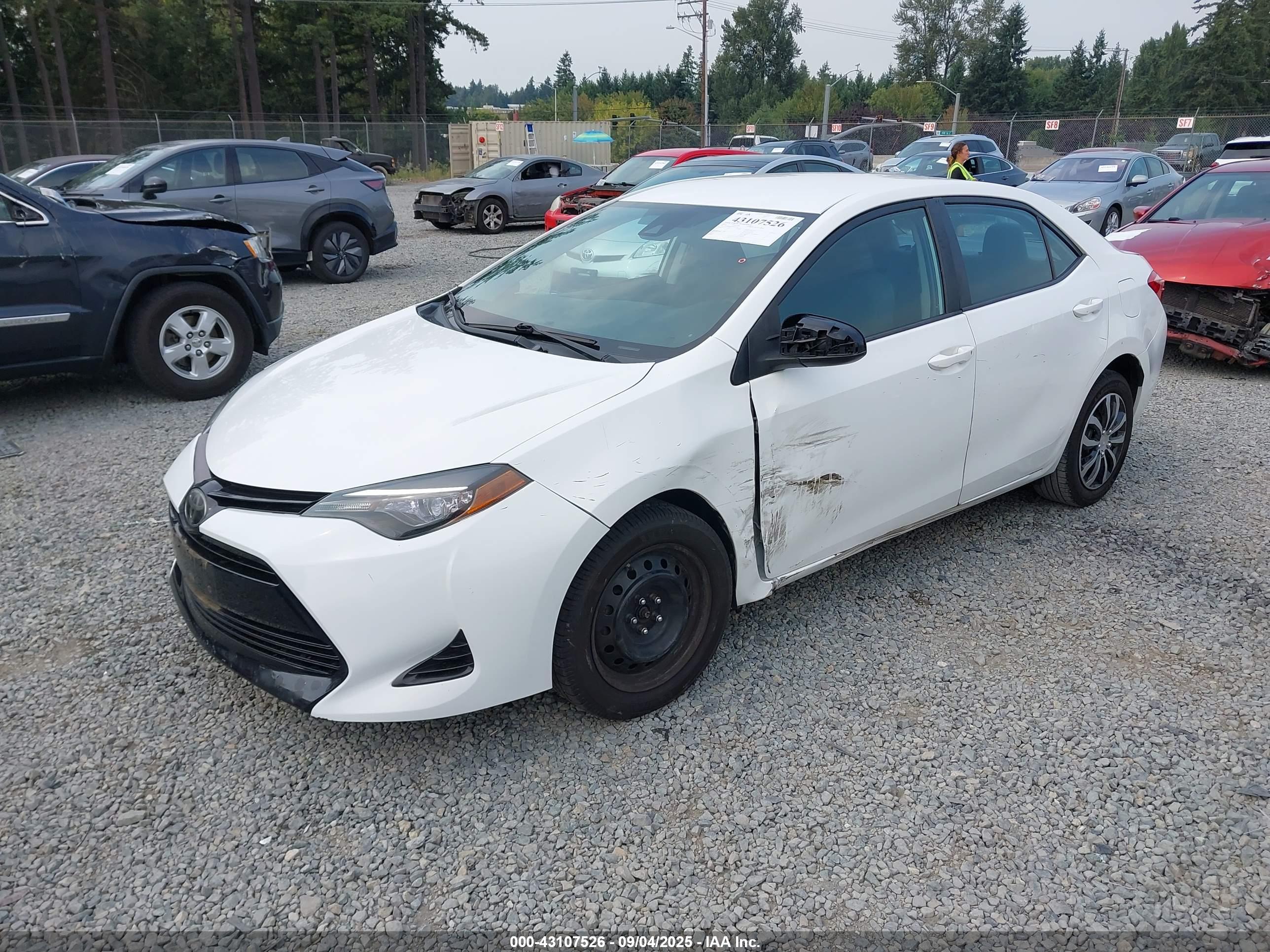 TOYOTA COROLLA image 2