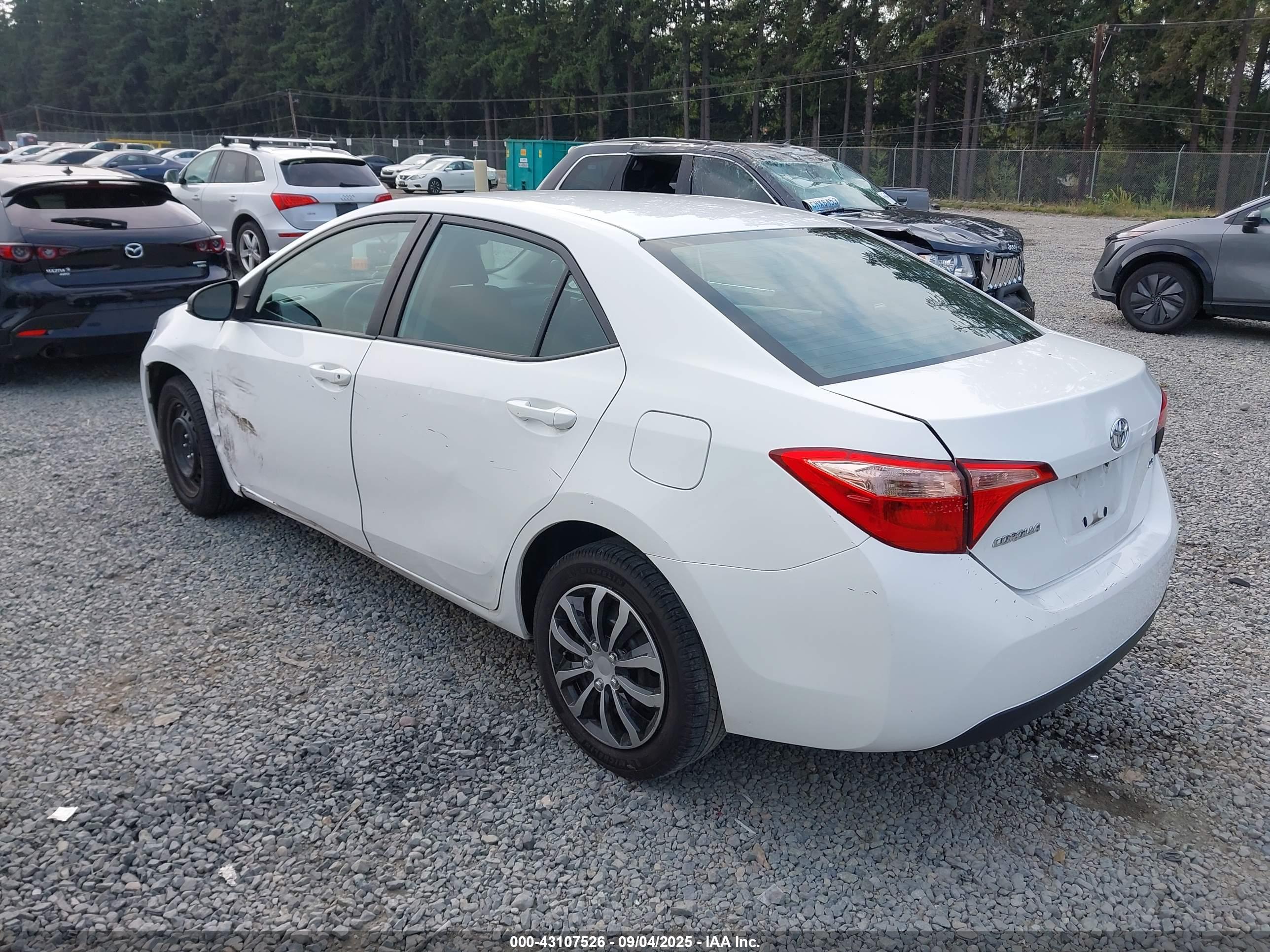 TOYOTA COROLLA image 3
