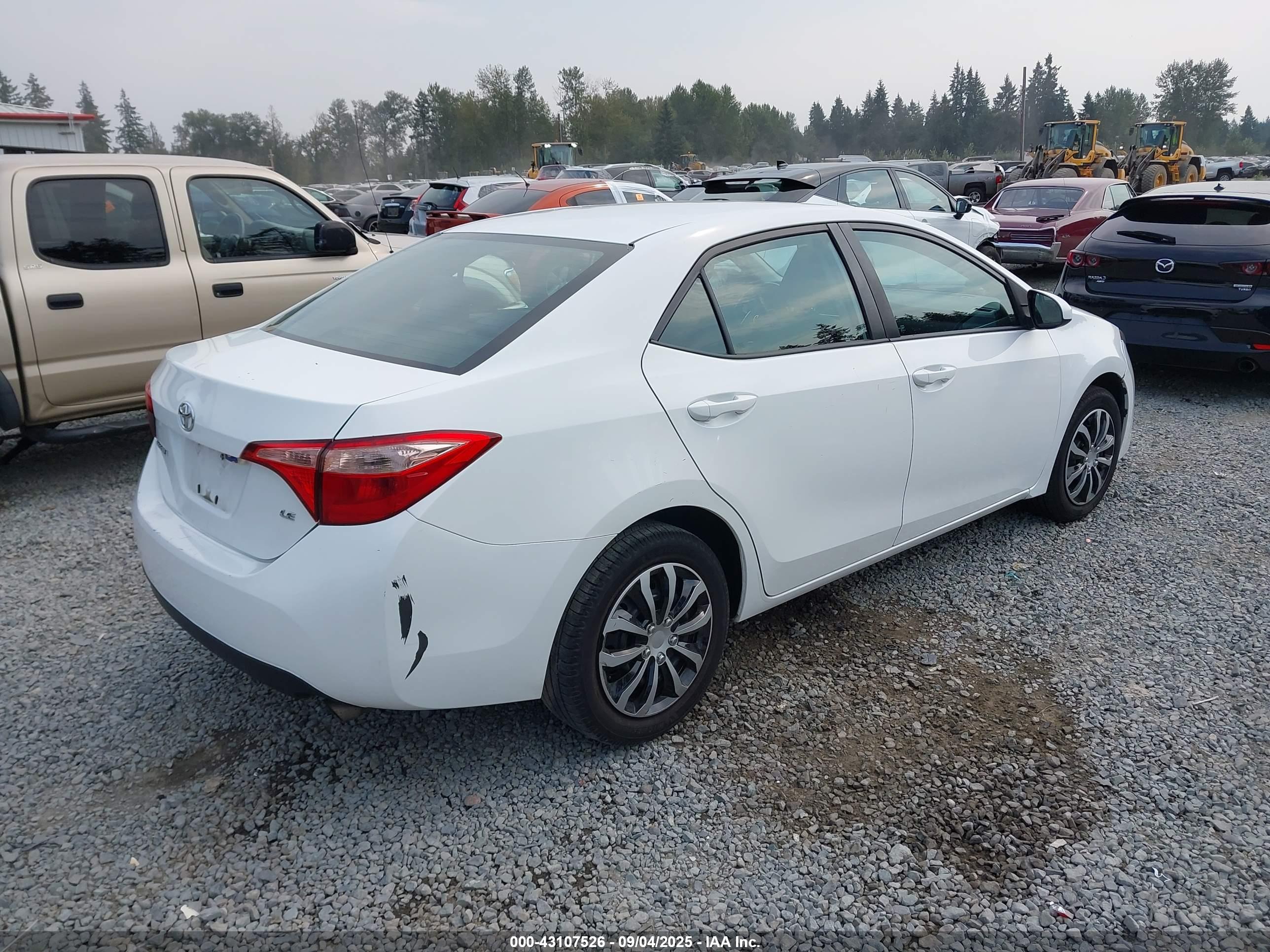 TOYOTA COROLLA image 4