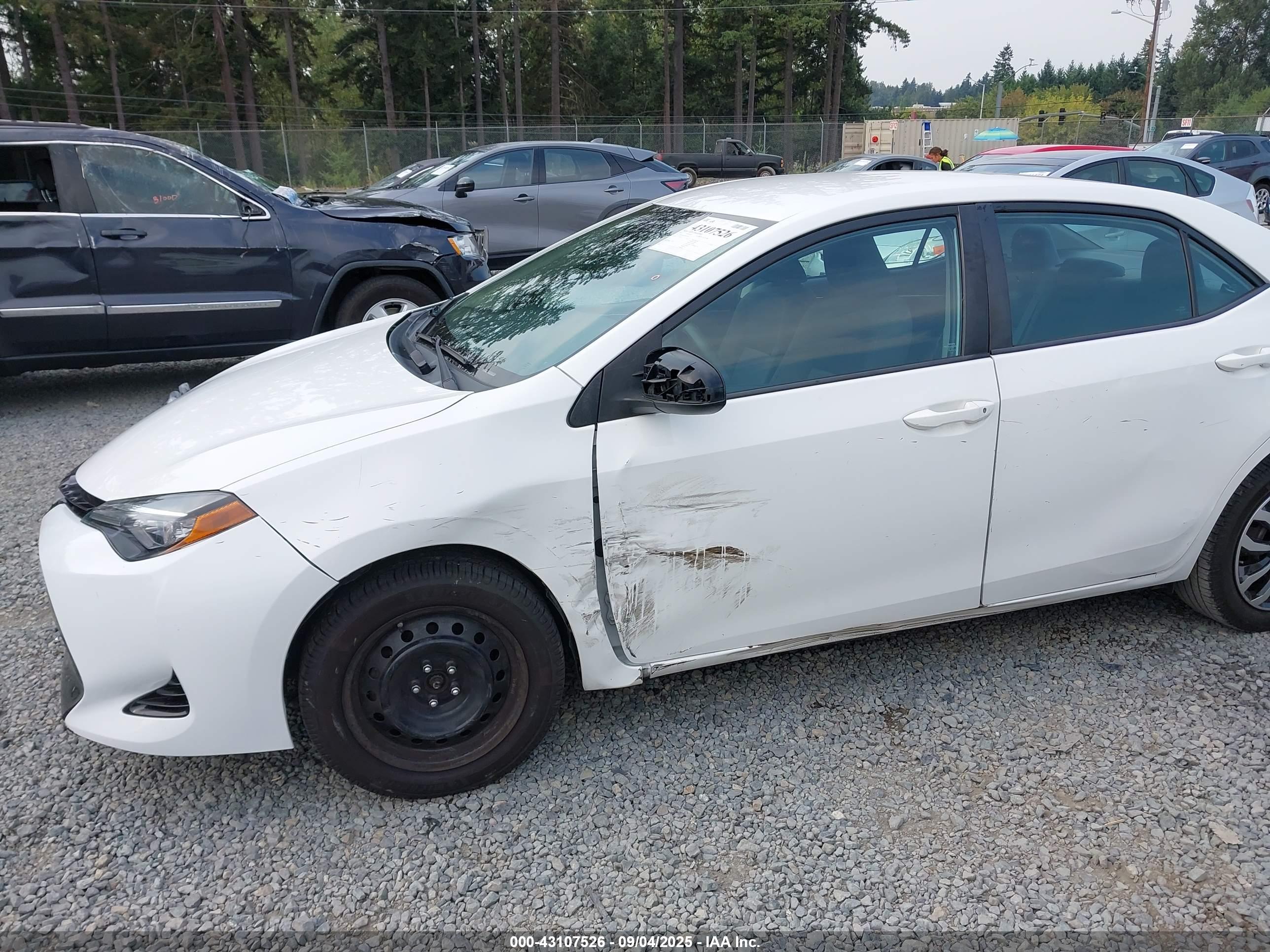 TOYOTA COROLLA image 6