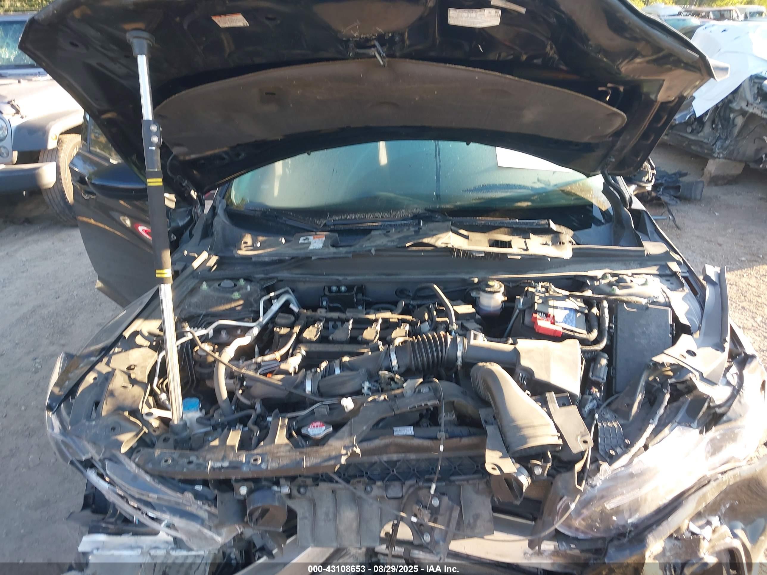 HONDA ACCORD image 10