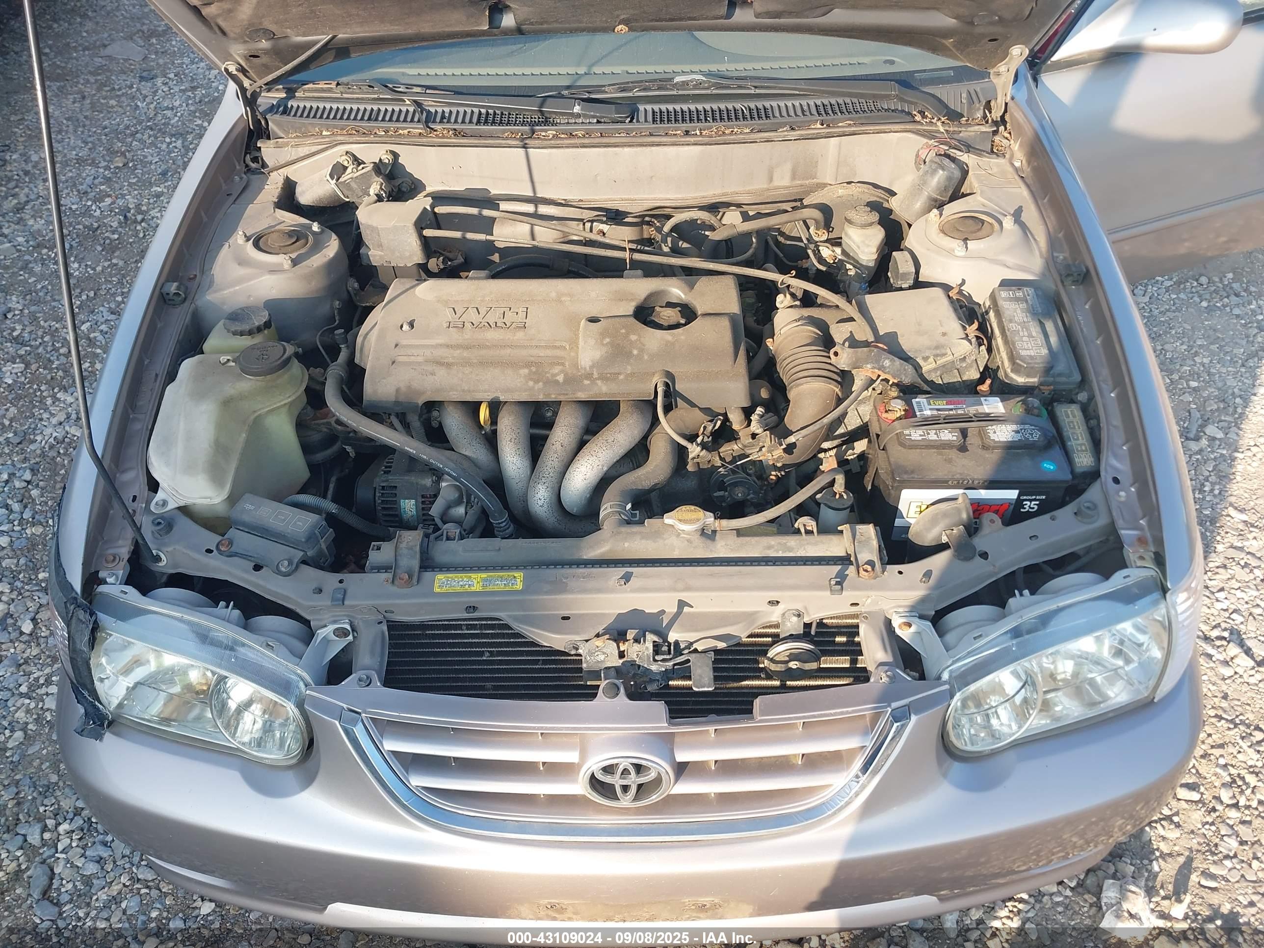 TOYOTA COROLLA image 10