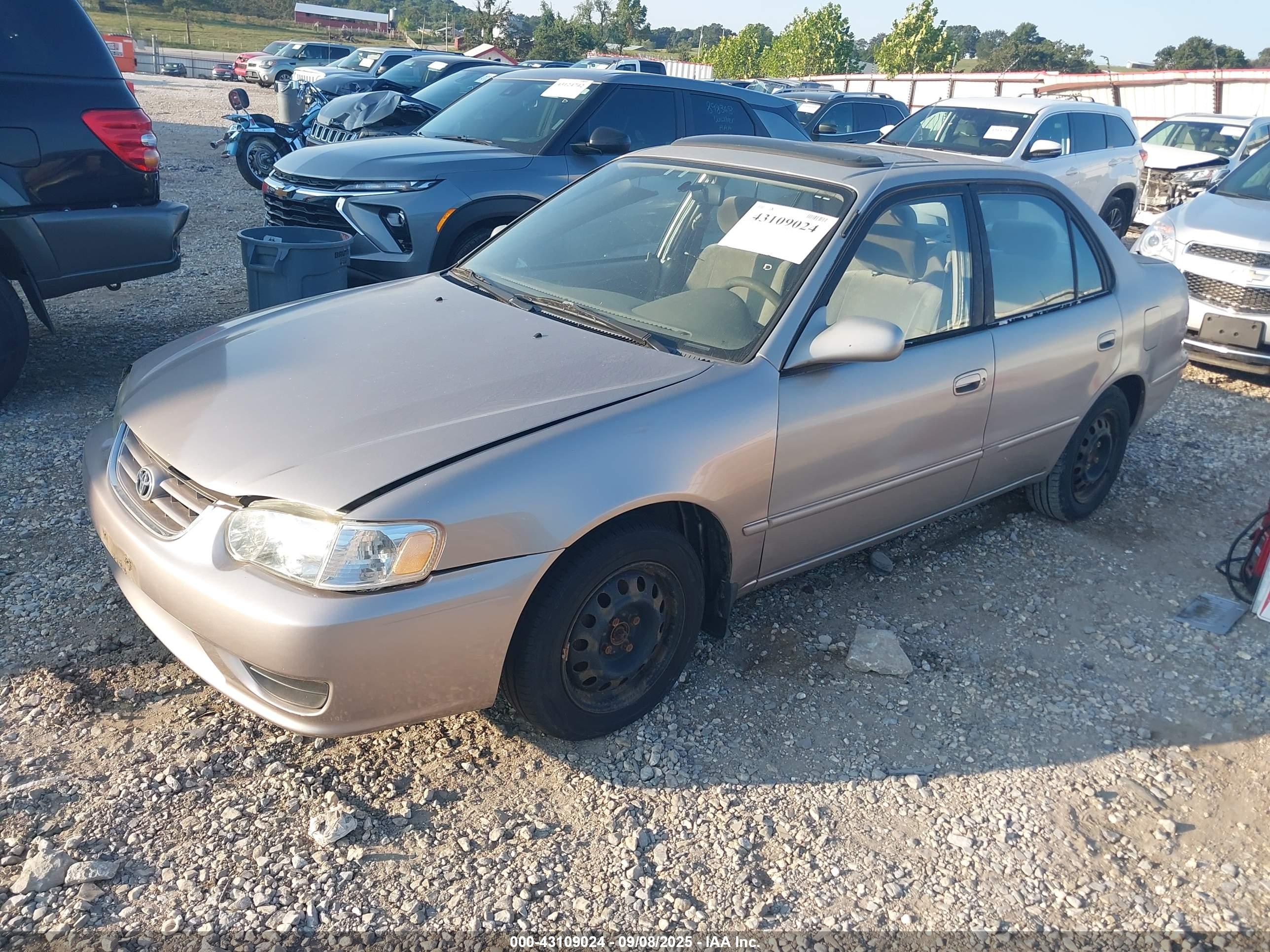 TOYOTA COROLLA image 2