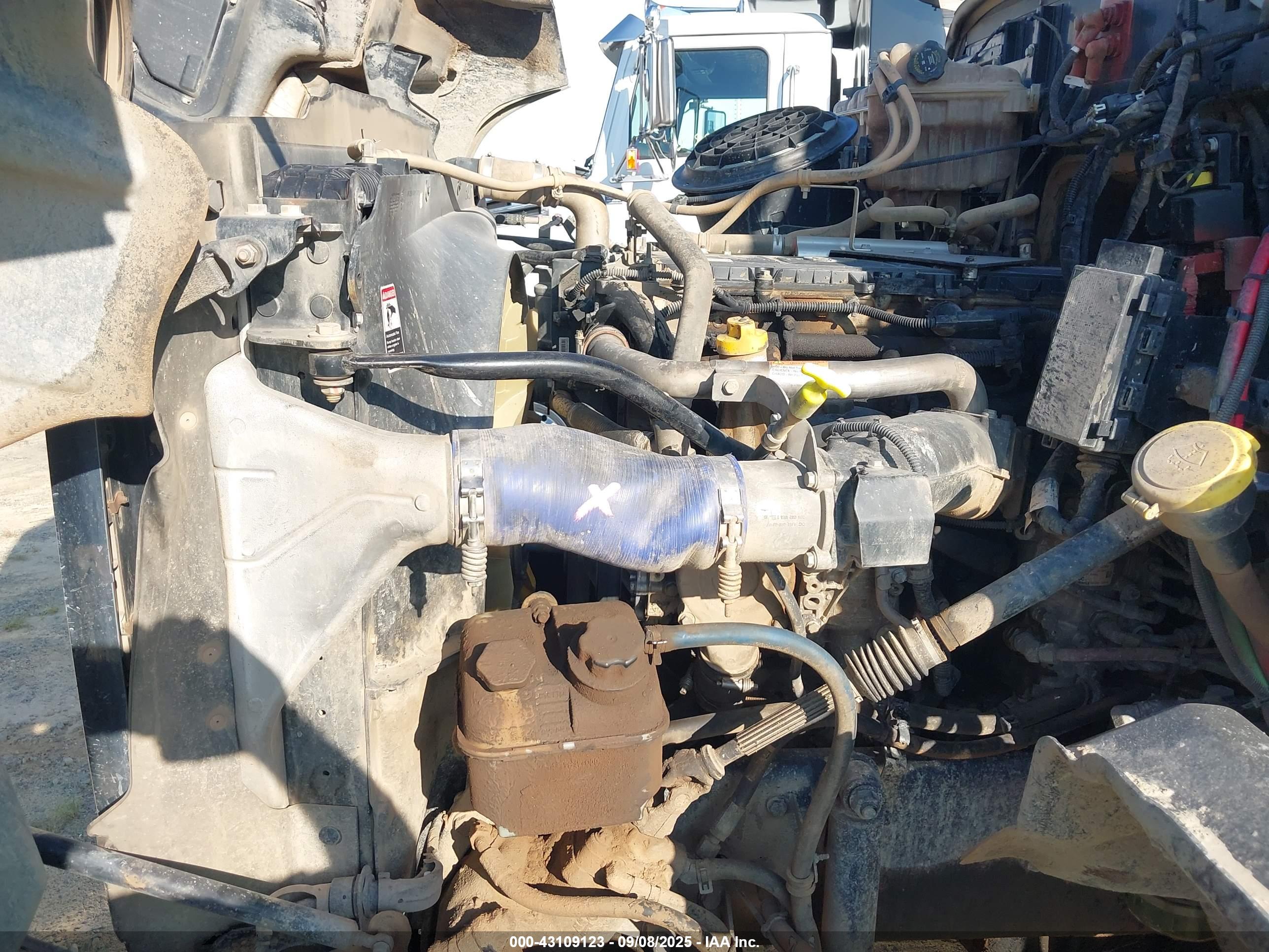 WESTERN STAR image 10