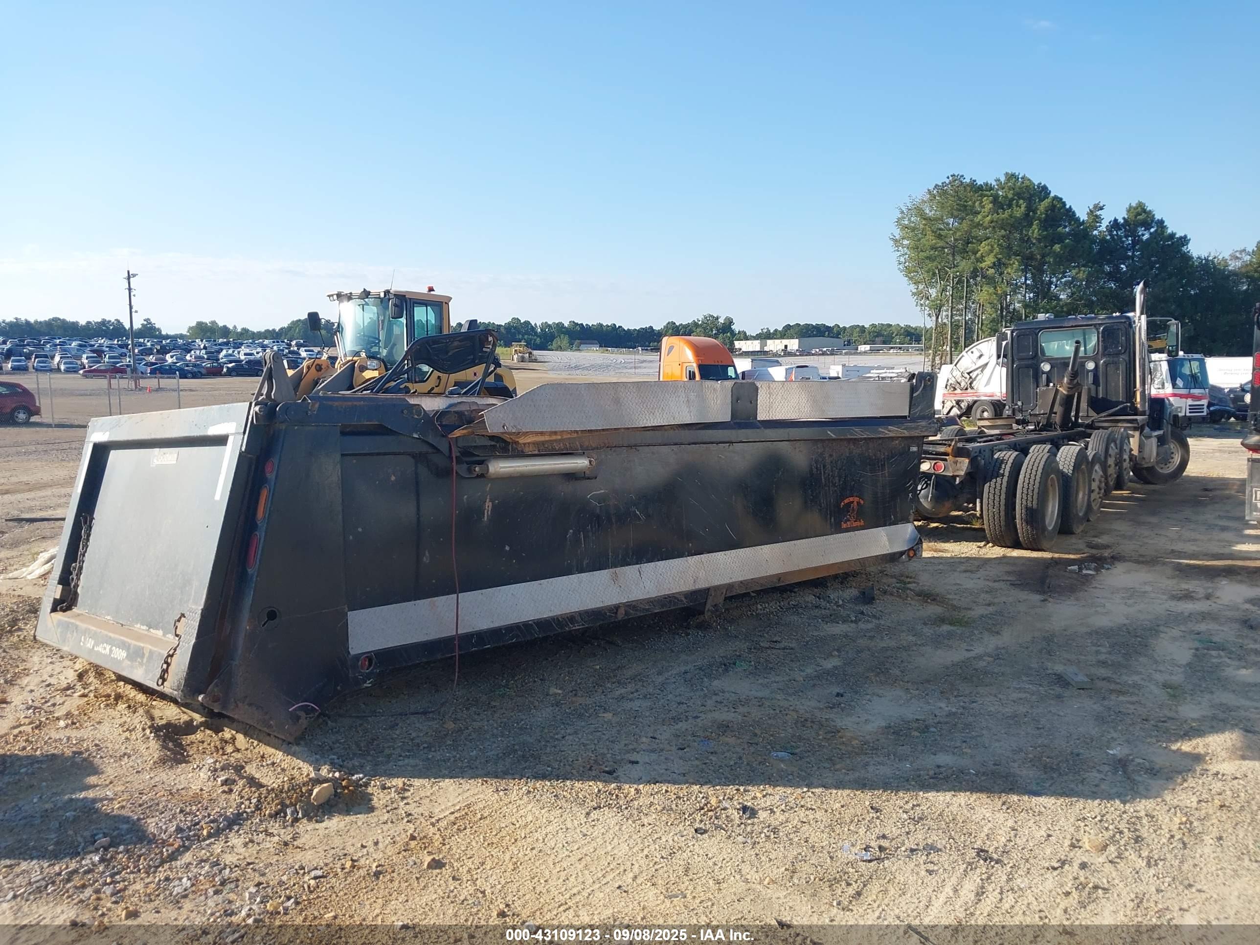 WESTERN STAR image 4