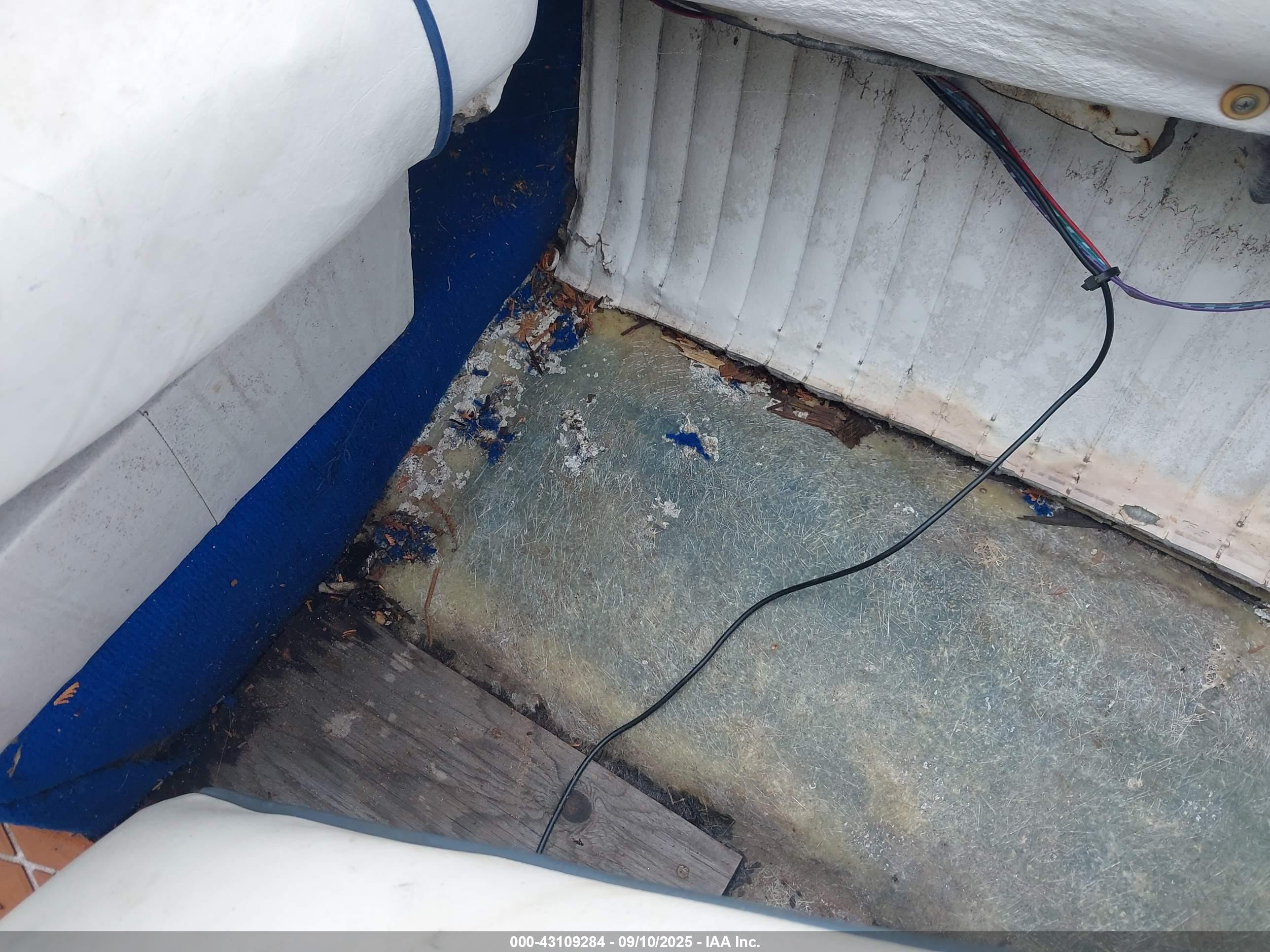 EBKO MARINE image 6