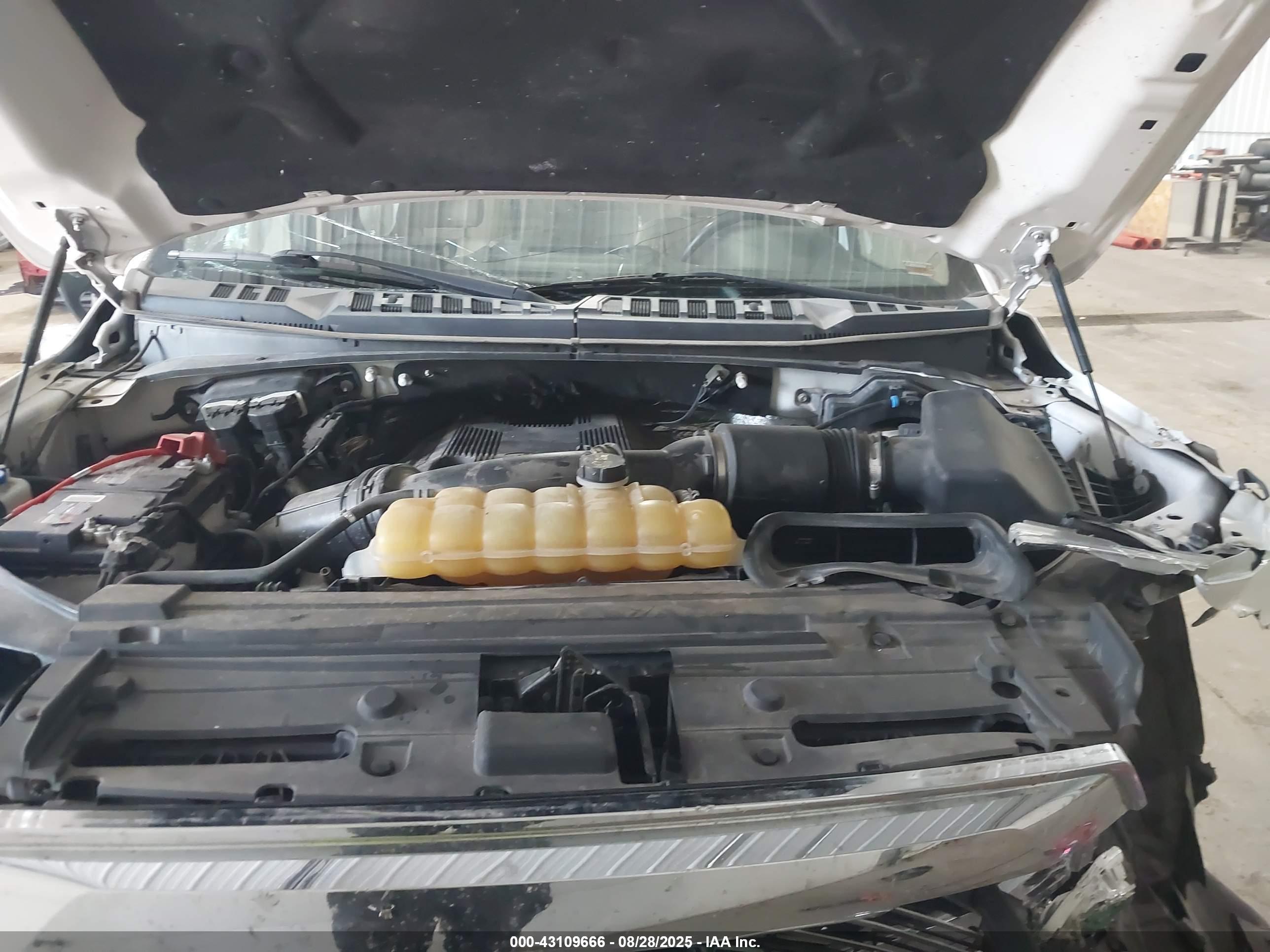 FORD F-150 image 10