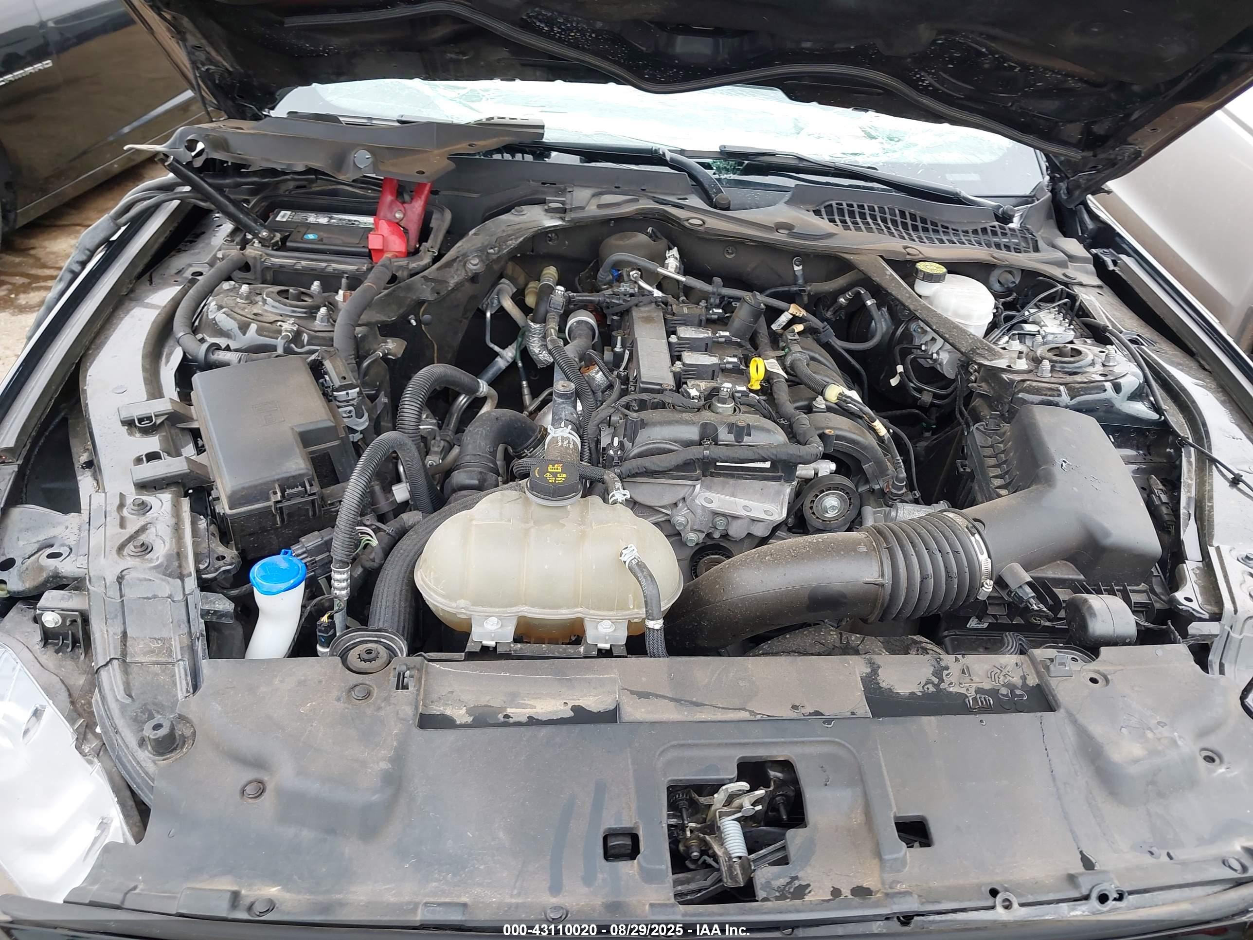 FORD MUSTANG image 10