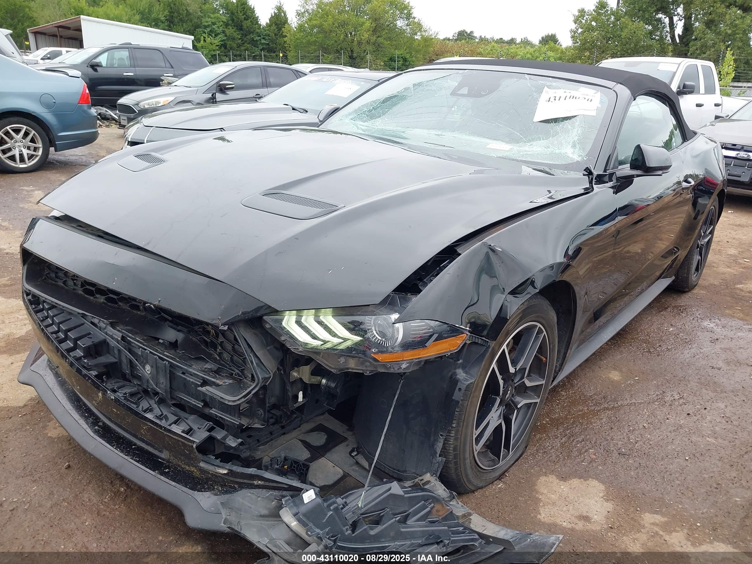 FORD MUSTANG image 2
