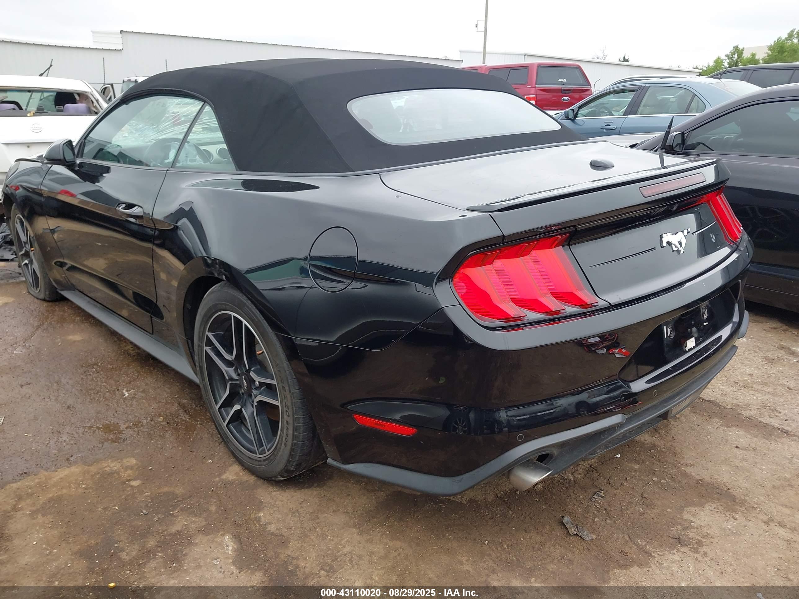 FORD MUSTANG image 3