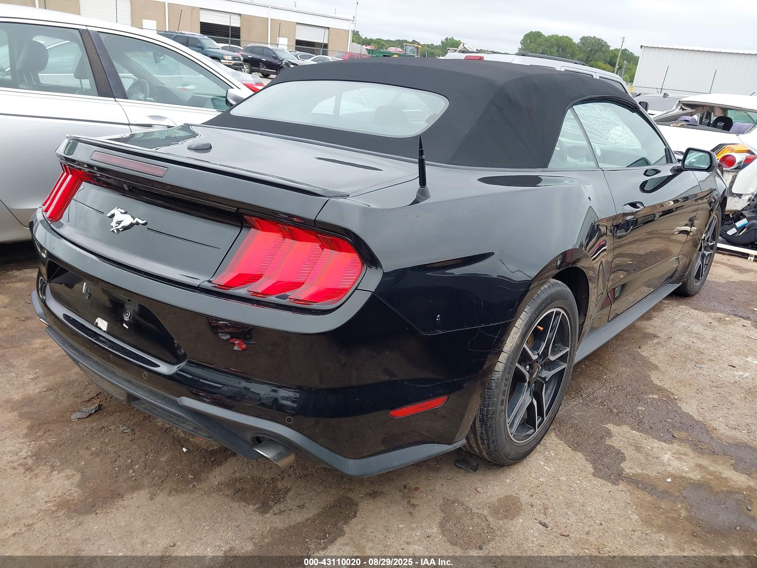 FORD MUSTANG image 4