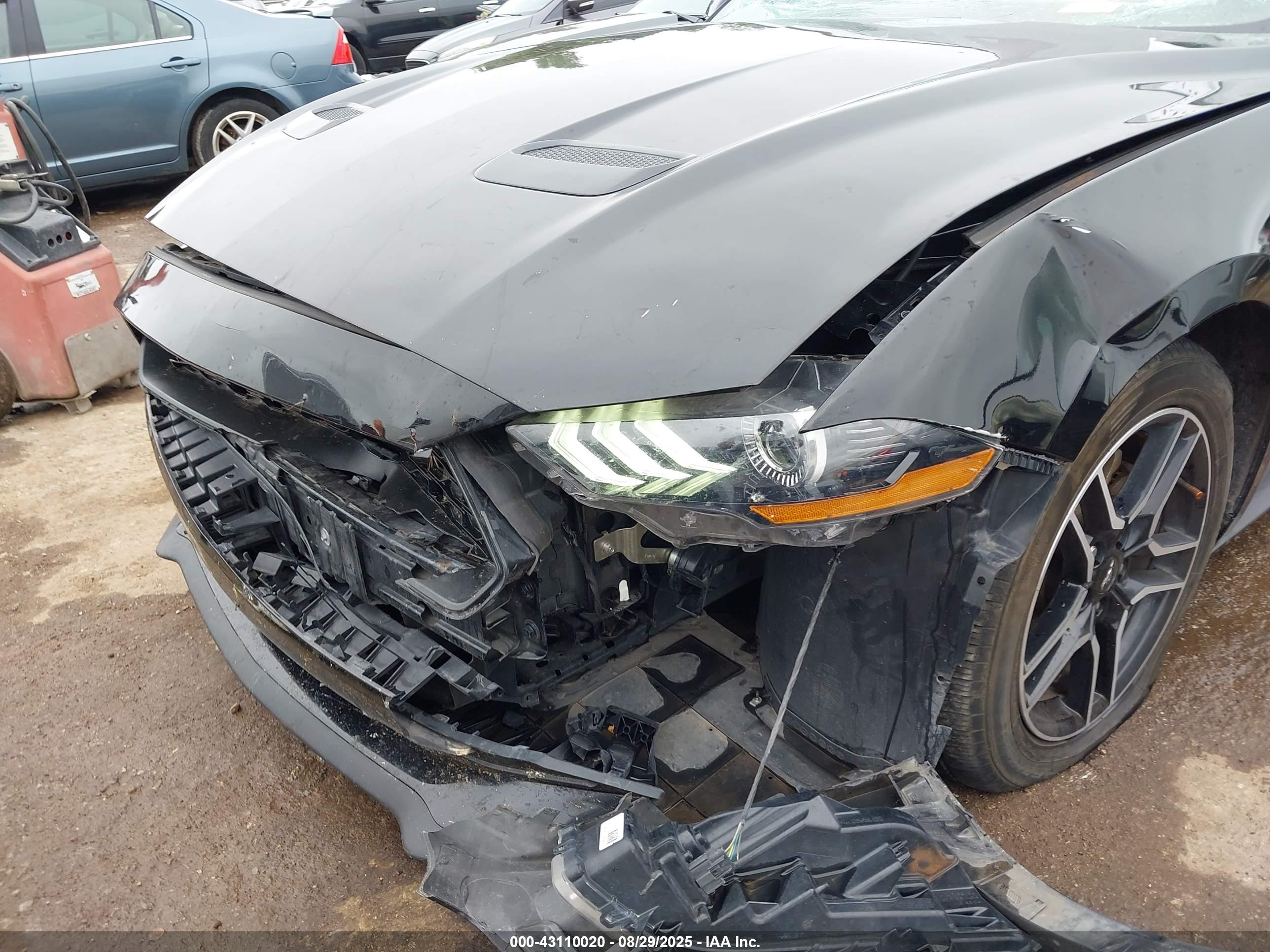 FORD MUSTANG image 6