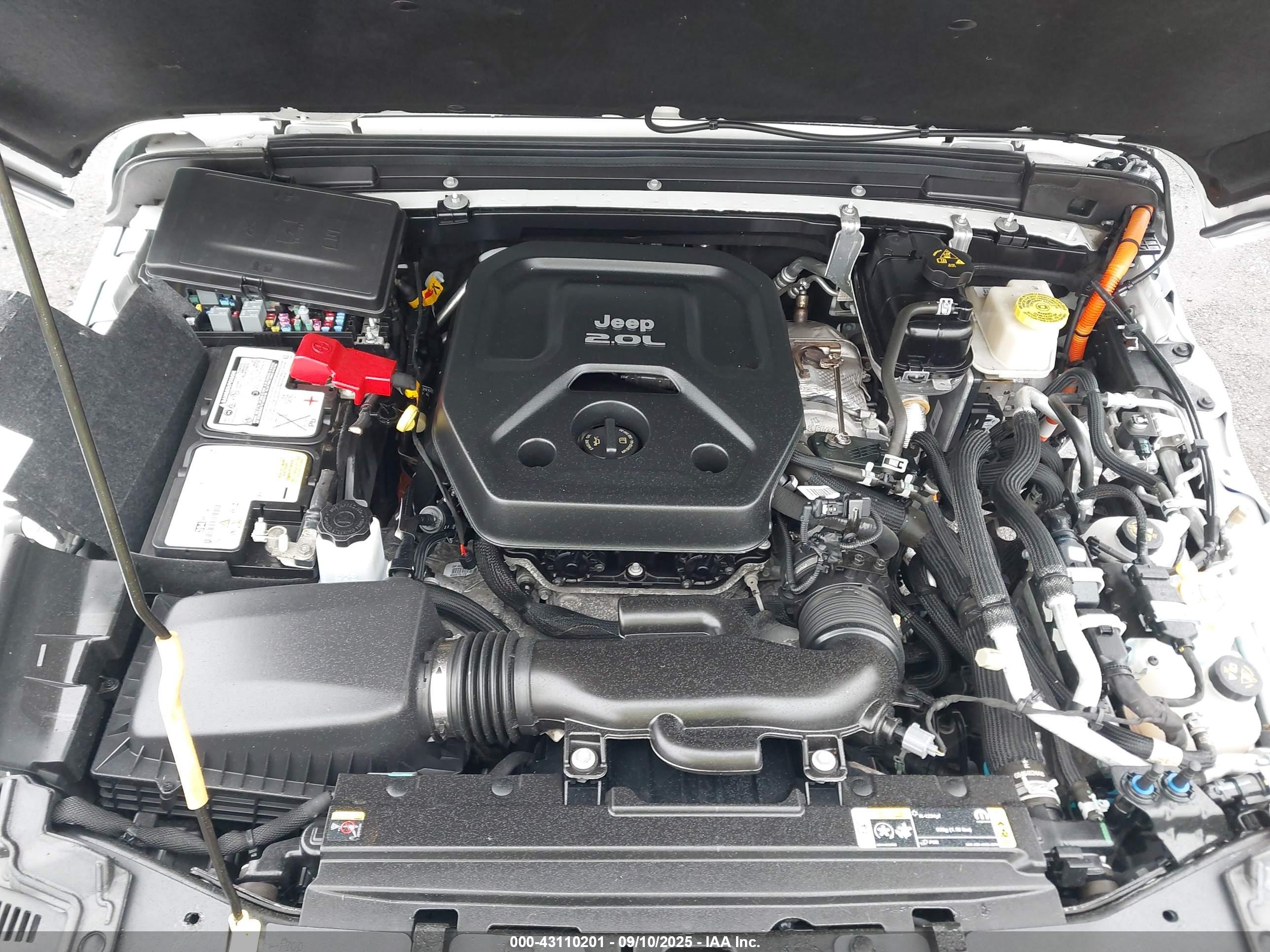 JEEP WRANGLER image 10