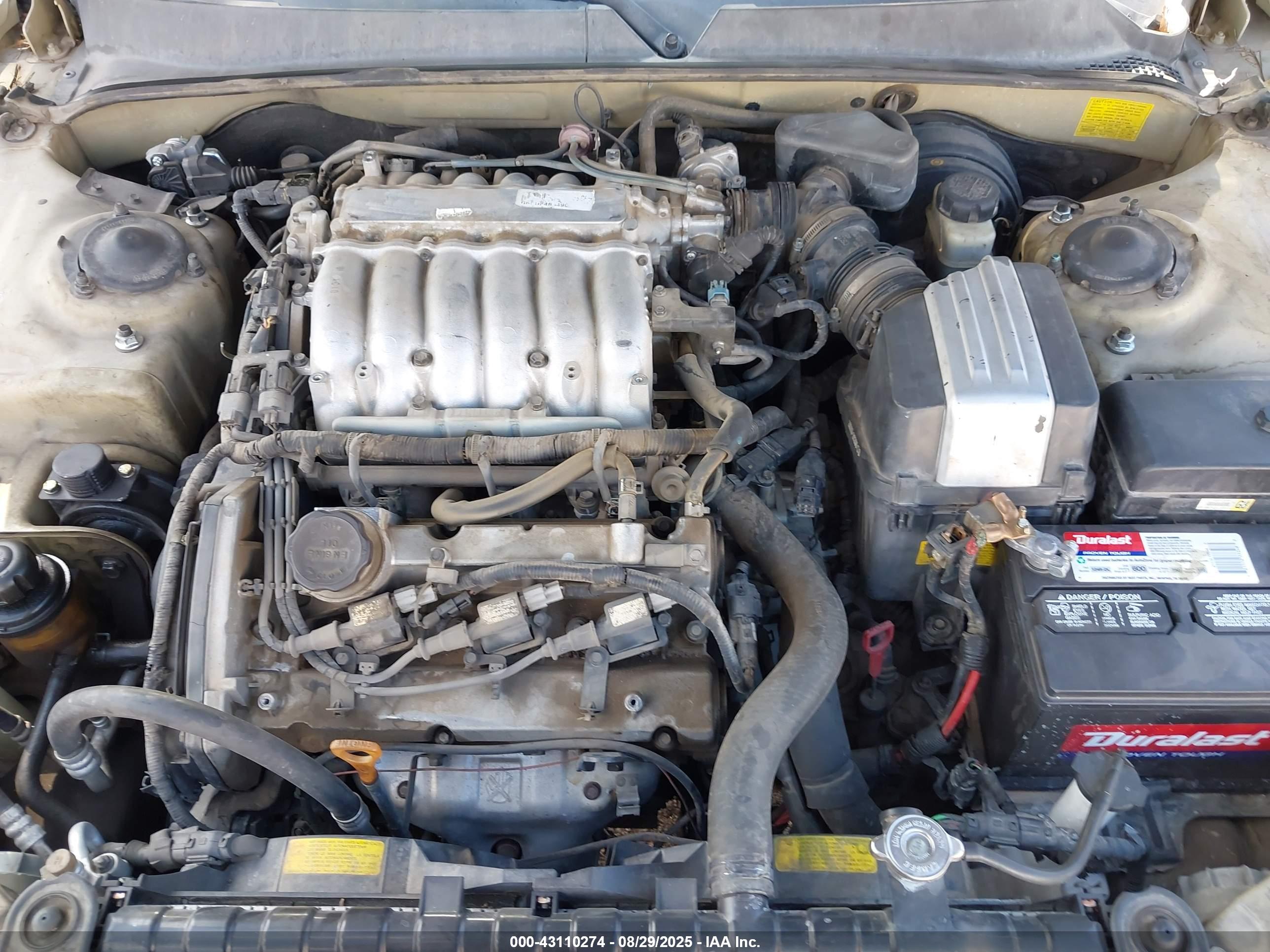 HYUNDAI XG350 image 10