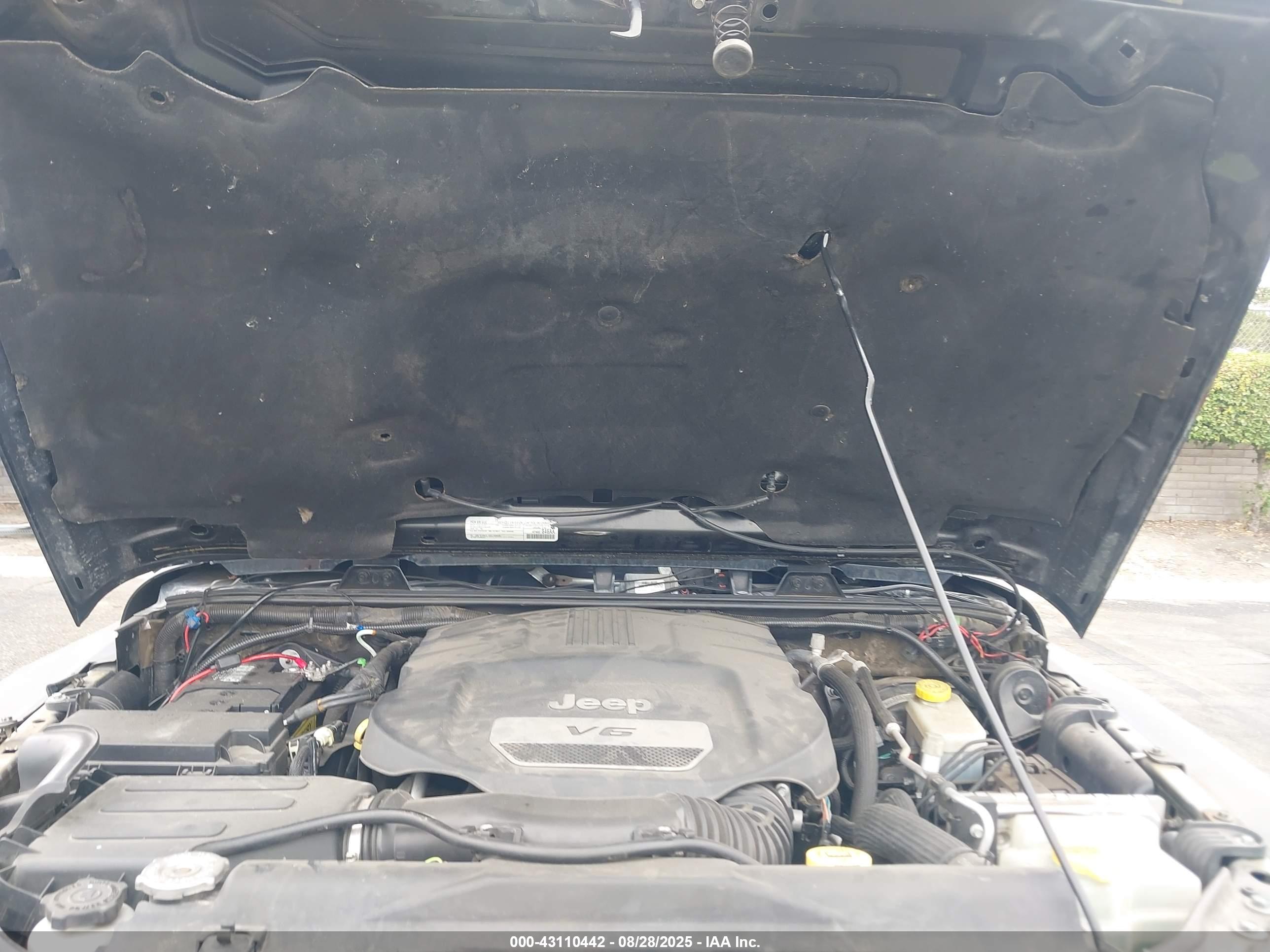 JEEP WRANGLER image 10
