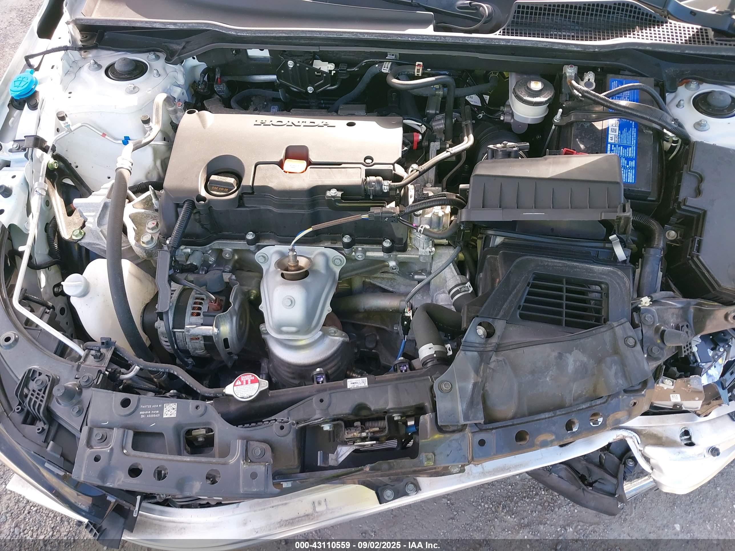 HONDA CIVIC image 10