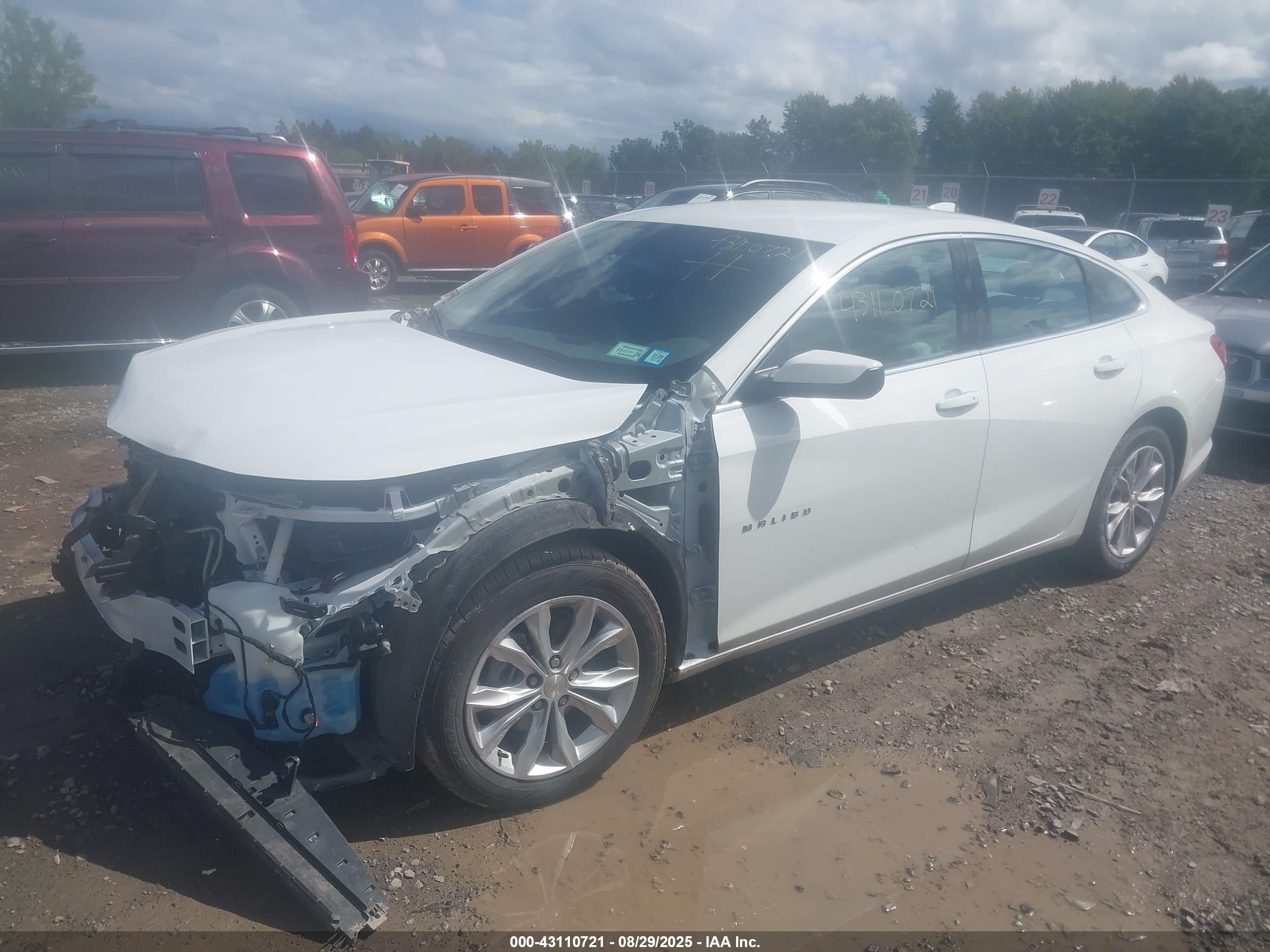CHEVROLET MALIBU image 2