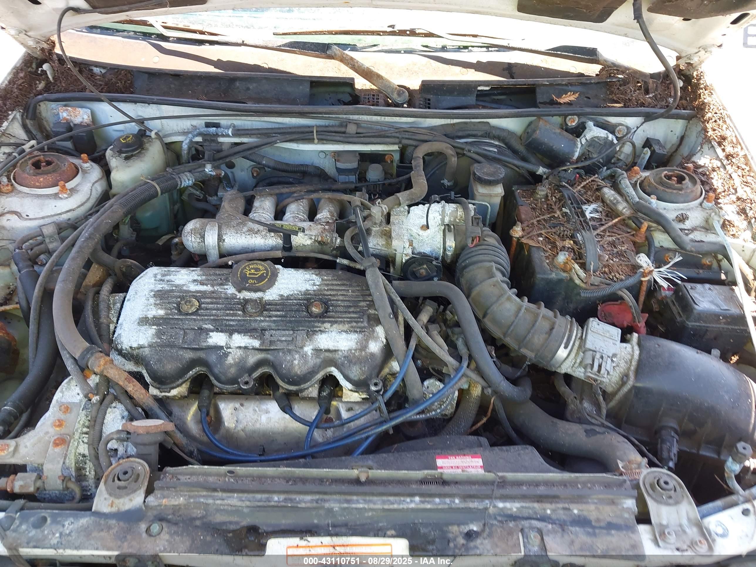 FORD ESCORT image 10