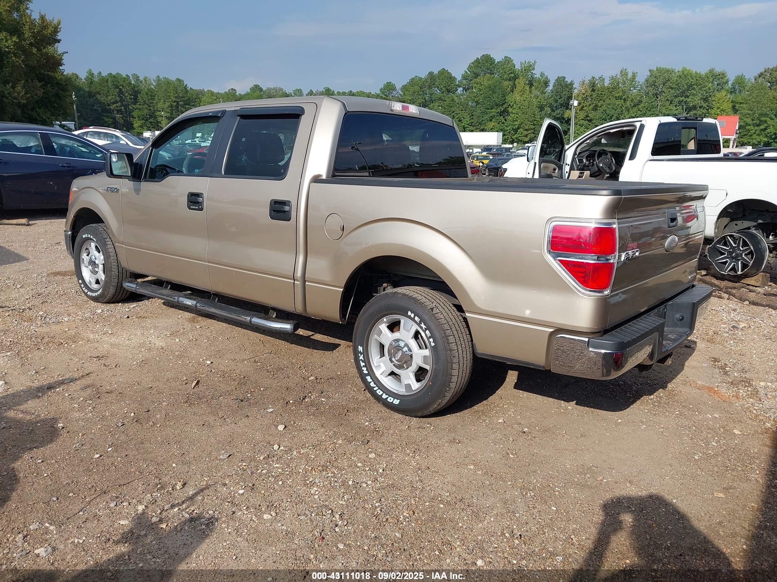 FORD F-150 image 3