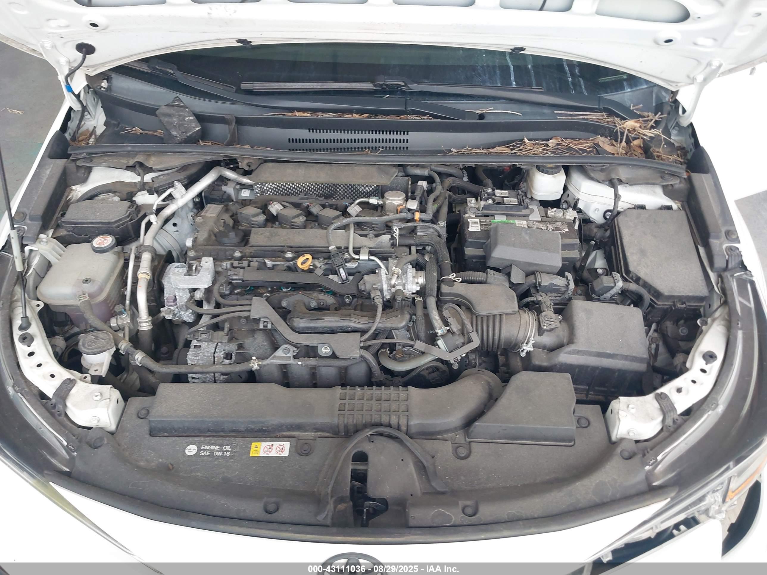 TOYOTA COROLLA image 10