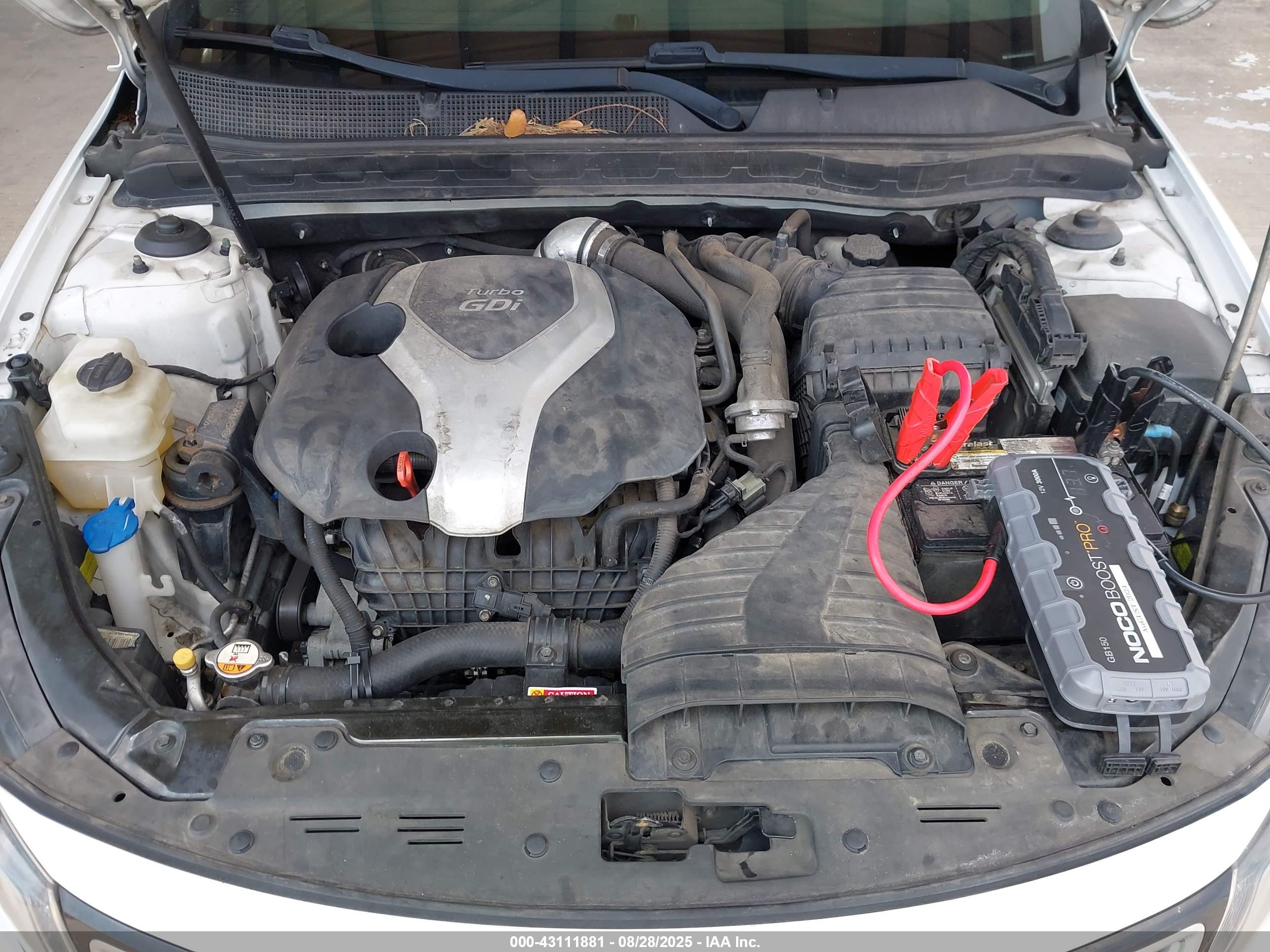 KIA OPTIMA image 10